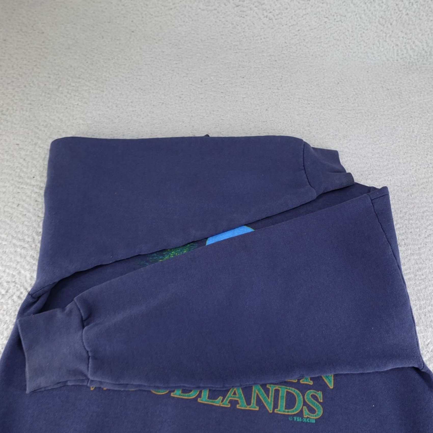 Fruit Of The Loom VINTAGE Bald Eagle Sweatshirt Mens Large Blue 90s Pullover American Woodlands Nike? Size US L / EU 52-54 / 3 - 6 Thumbnail
