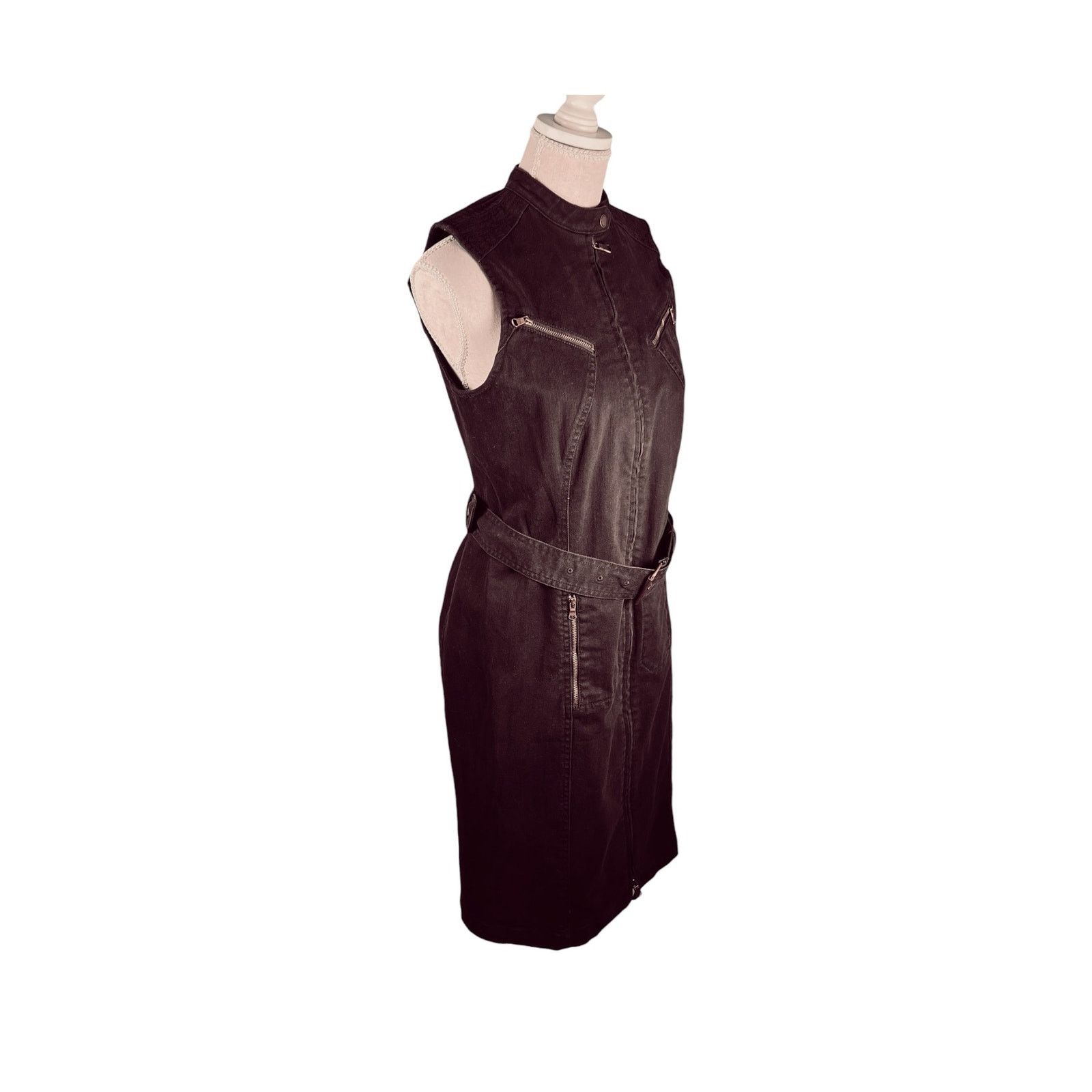 Lauren Ralph Lauren Lauren Ralph Lauren Brown Belted Zip Front Denim Dress Sz 6 Size M / US 6-8 / IT 42-44 - 4 Thumbnail