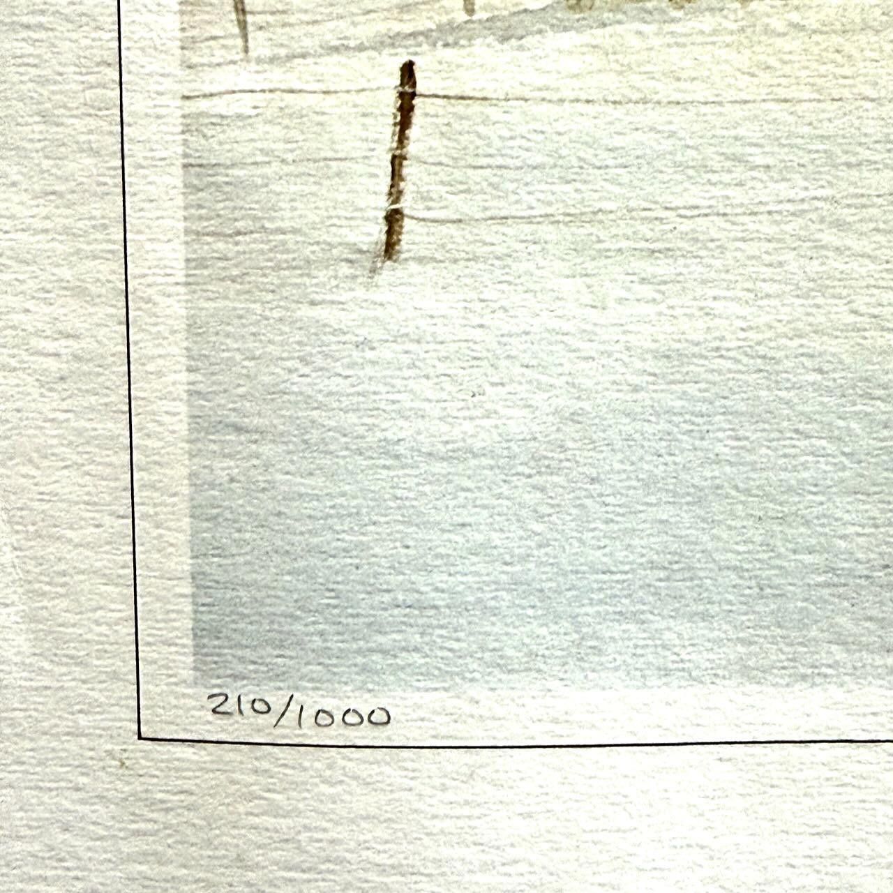 Designer "Winter Richness" Fine Art Lithograph SIGNED 1977 /1000 Size ONE SIZE - 7 Thumbnail