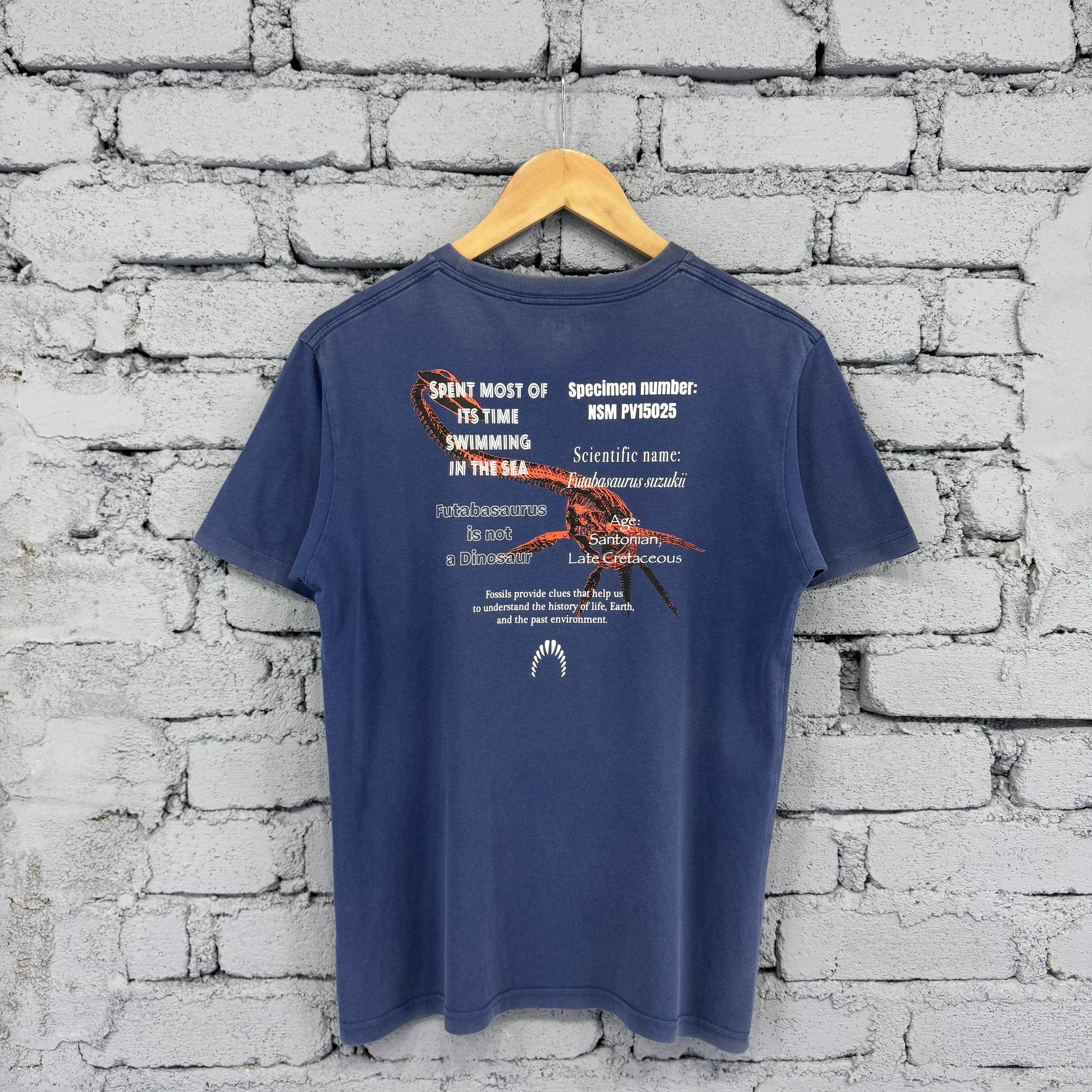 Uniqlo Uniqlo Kids Boy Dinosour Fact Tshirt Size US S / EU 44-46 / 1 - 1 Thumbnail