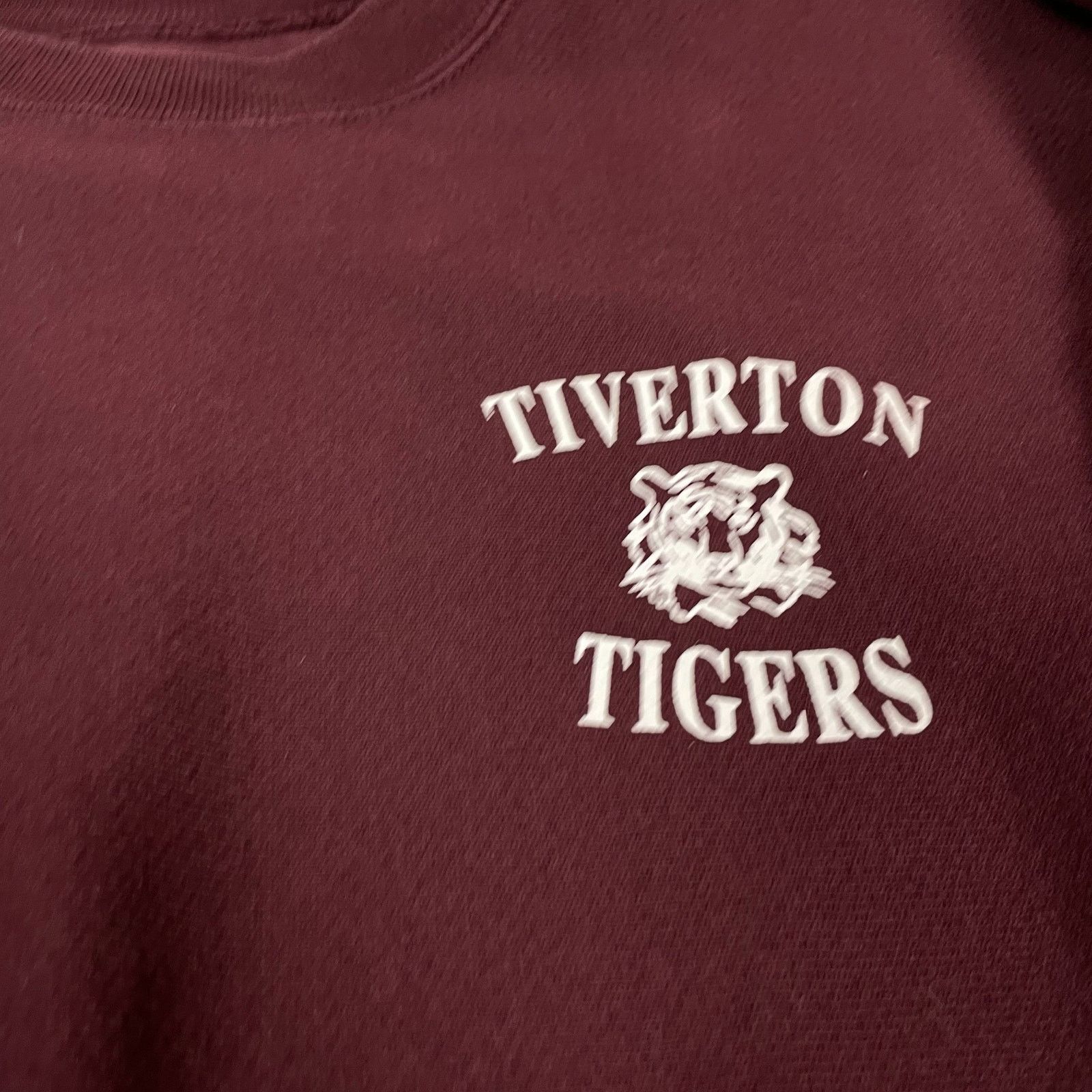 Champion × Vintage Champion Reverse Weave Men Tiverton Tigers Sweatshirt Medium Size US M / EU 48-50 / 2 - 3 Thumbnail