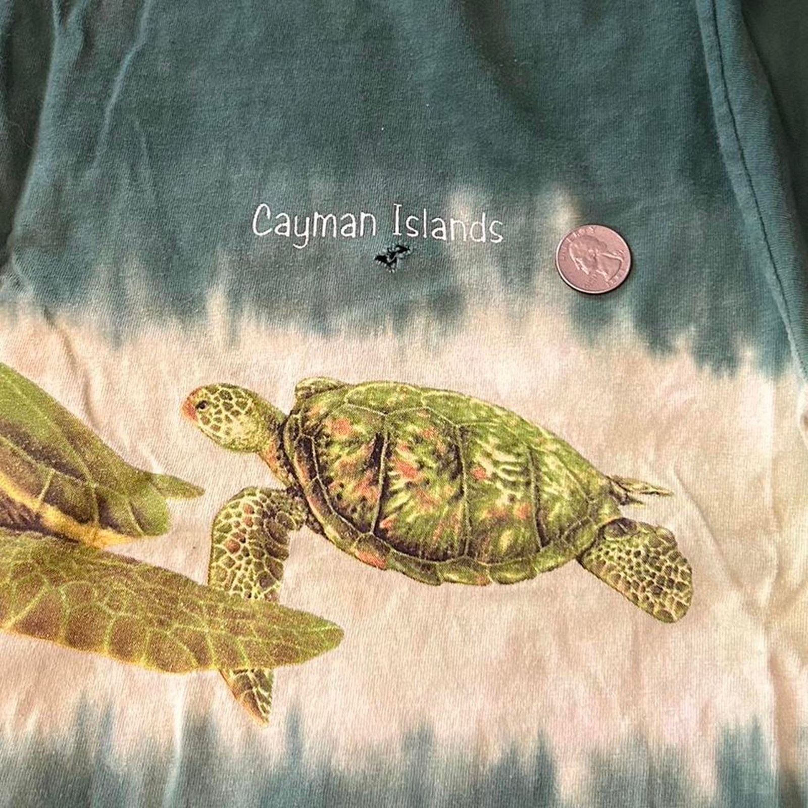 Other Rare vintage turtle tee bleach Size US L / EU 52-54 / 3 - 3 Thumbnail