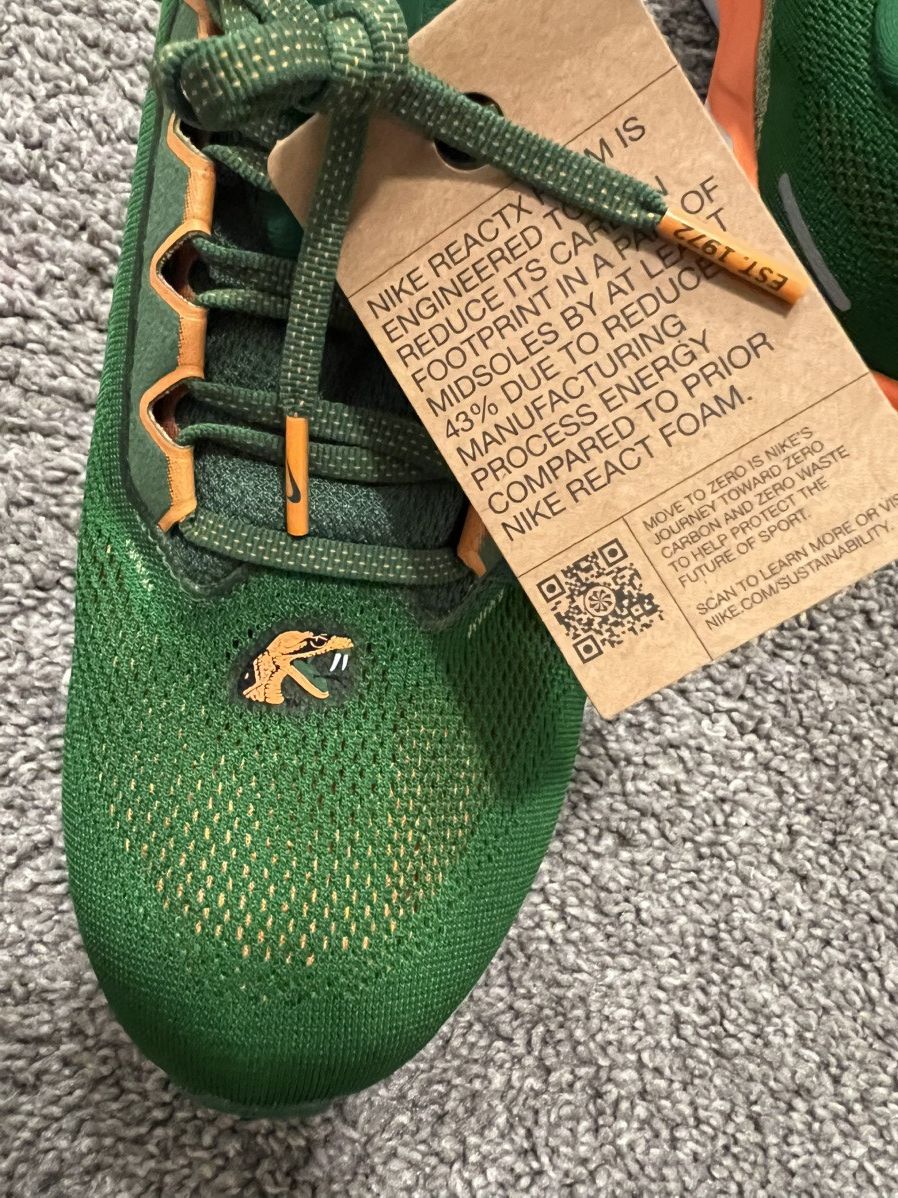 Nike Nike Air Pegasus 41 FAMU Size US 10.5 / EU 43-44 - 6 Thumbnail