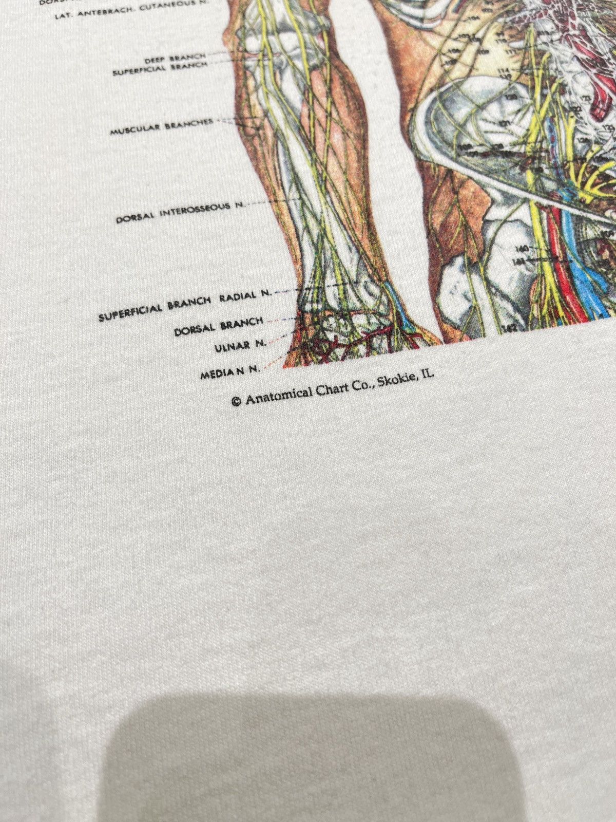 Vintage 90’s Anatomical Chart Size US XL / EU 56 / 4 - 5 Thumbnail