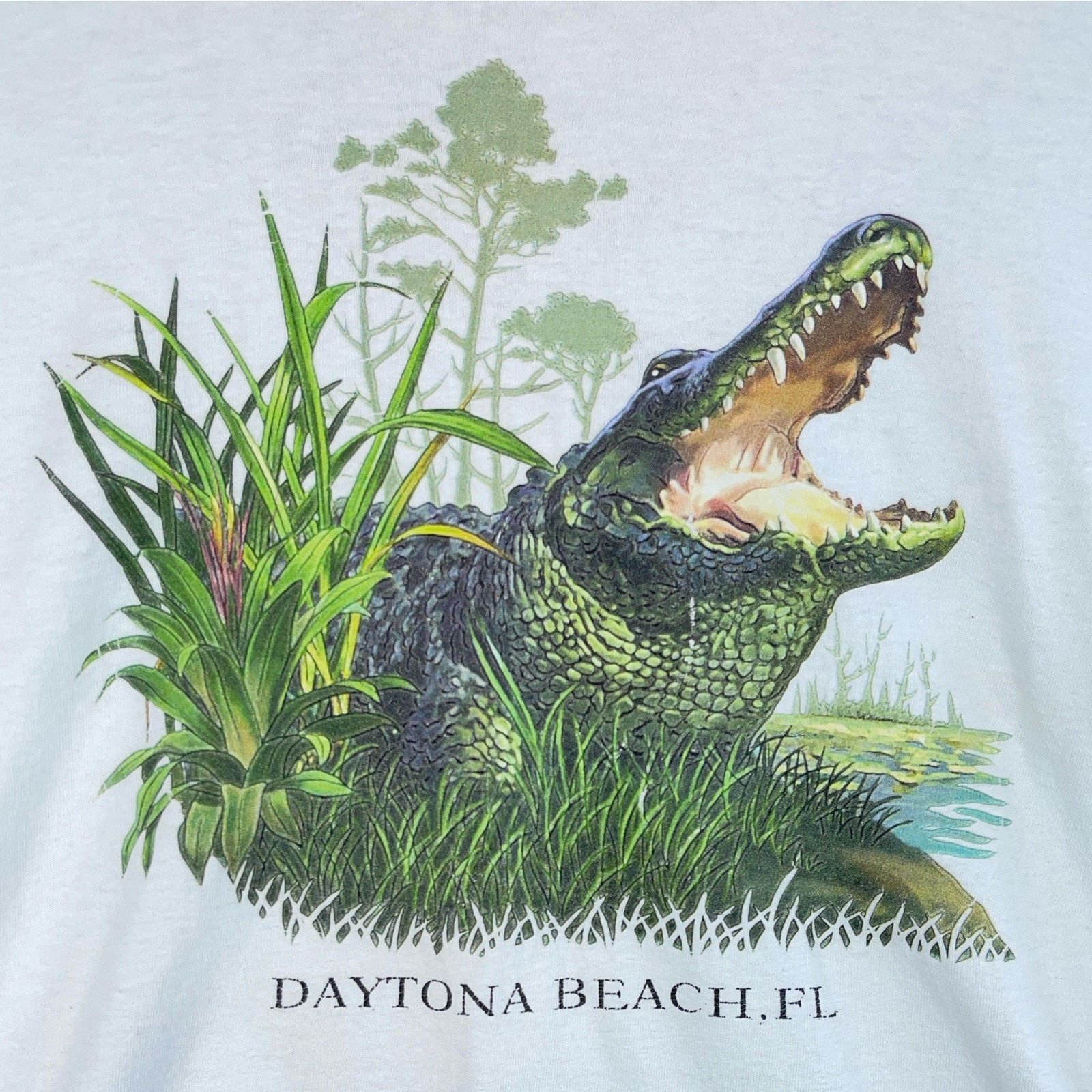 Anvil 90s Anvil Daytona Beach Alligator T Shirt M Pre-Shrunk Size US M / EU 48-50 / 2 - 3 Thumbnail