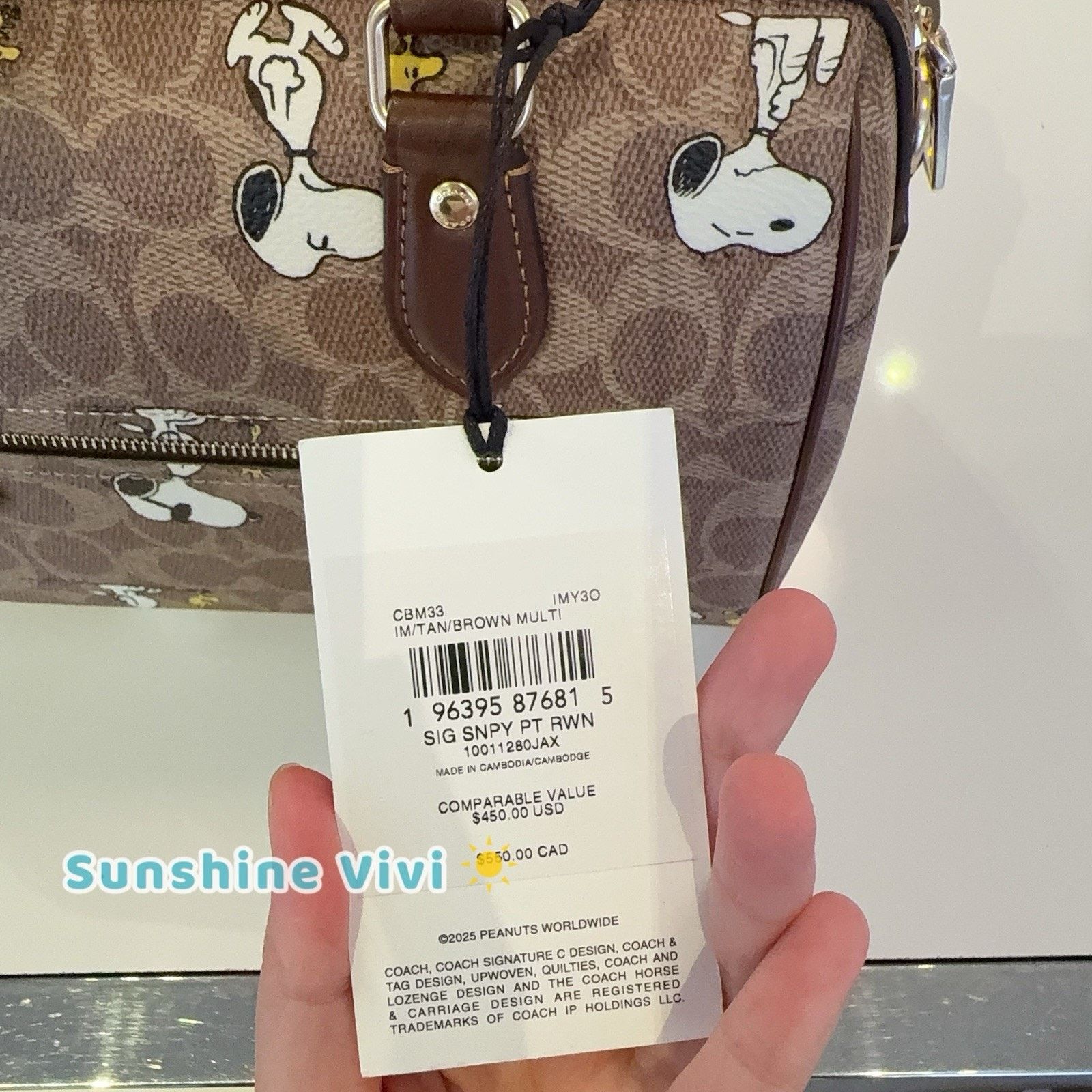 Coach NWT Coach X Peanuts Rowan Satchel Bag Snoopy Print CBM33 Size ONE SIZE - 4 Thumbnail