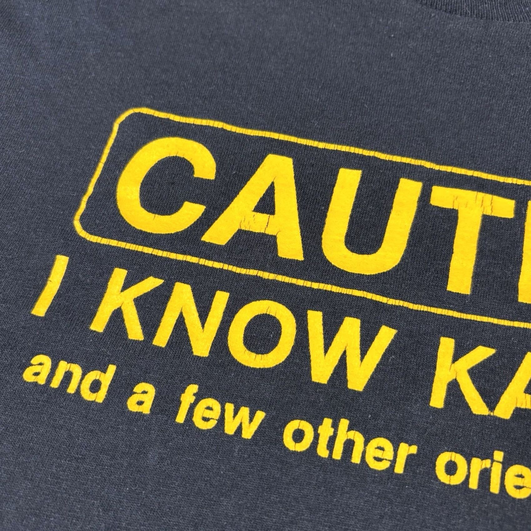 Vintage VINTAGE Screen Stars T-Shirt Caution I Know Karate USA 80s 90s Men L Black Short Sleeve Crew Neck Cotton Size US L / EU 52-54 / 3 - 4 Thumbnail