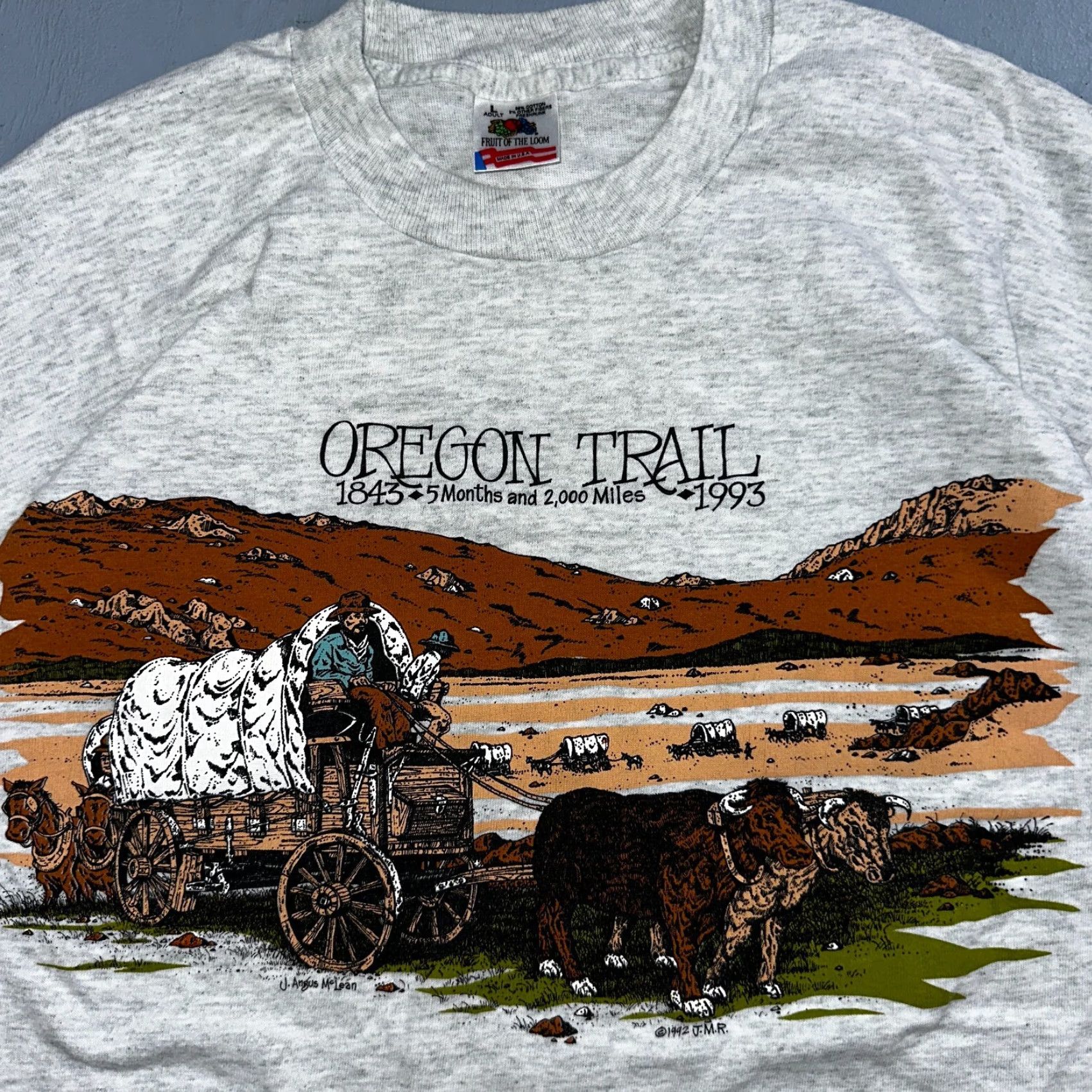 Fruit Of The Loom VINTAGE Oregon Trail 90s T Shirt Gray L Fruit of the Loom Mens Short Sleeve Crew Neck USA Sunset Rare Size US L / EU 52-54 / 3 - 2 Thumbnail