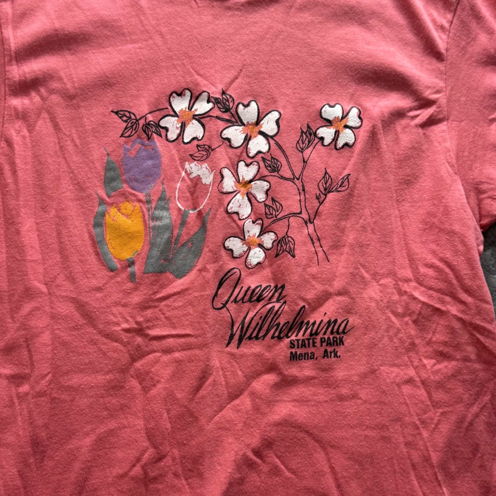 Hanes VINTAGE Hanes Shirt Mens M Pink Queen Wilhelmina State Park Graphic Tee USA Size US M / EU 48-50 / 2 - 3 Thumbnail