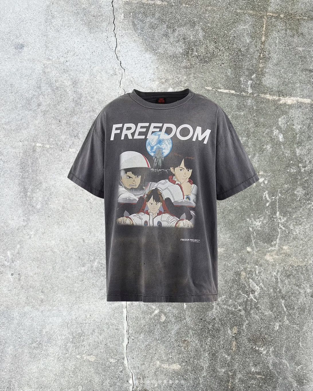SAINT Tシャツ FREEDOM PROJECT SAINT Mxxxxxx Freedom T-Shirt in Gray | SVD USA
