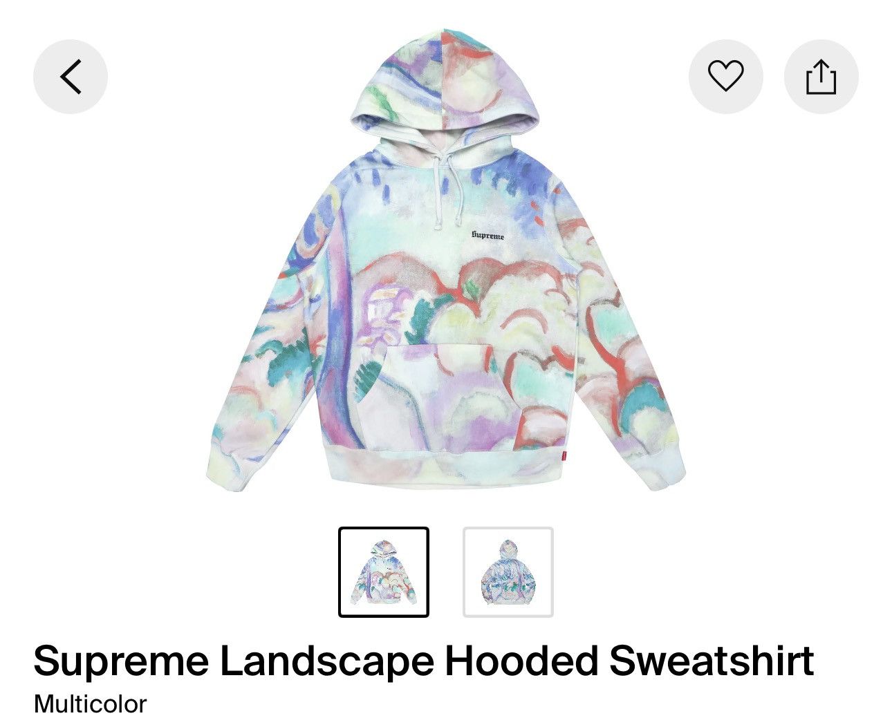 Supreme Supreme Landscape Hoodie Size US L / EU 52-54 / 3 - 2 Thumbnail