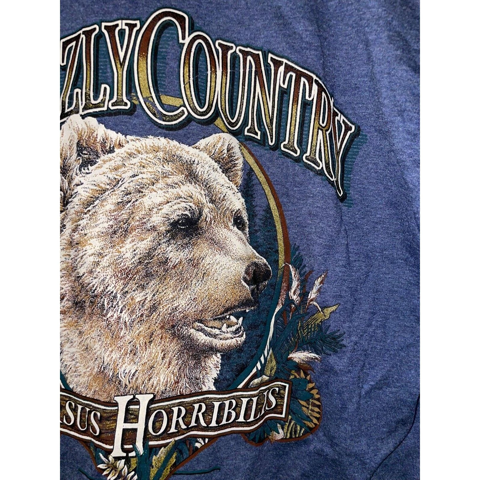 Jerzees Vintage Grizzly Bear Shirt Country Ursus Horribilis 90s Tee Size US L / EU 52-54 / 3 - 4 Thumbnail