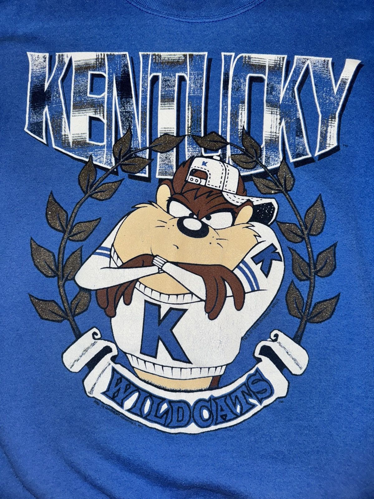 Vintage Vintage 1996 Kentucky Wildcats Taz Looney Tunes Crewneck Size US L / EU 52-54 / 3 - 1 Thumbnail
