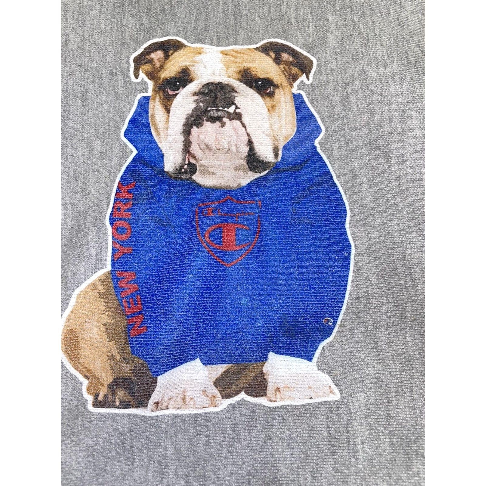 Champion VINTAGE Champion Reverse Weave Hoodie Men M Gray Reversible Y2K Size US M / EU 48-50 / 2 - 2 Thumbnail