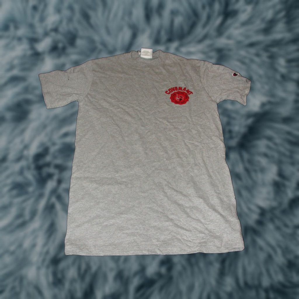 Champion Covenant Christian Knights High School T Shirt Small Gray Heather Champion 90/10 Cotton Blend Men Shirt Dallas TX Genders: Mens Size US S / EU 44-46 / 1 - 1 Thumbnail