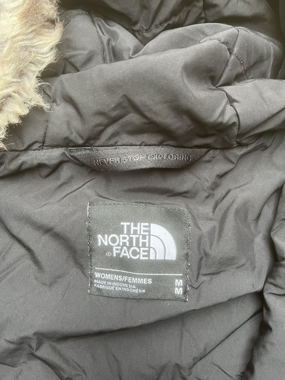 The North Face The North Face Parka Puffer with Fur Hood Attachment Size M / US 6-8 / IT 42-44 - 3 Thumbnail