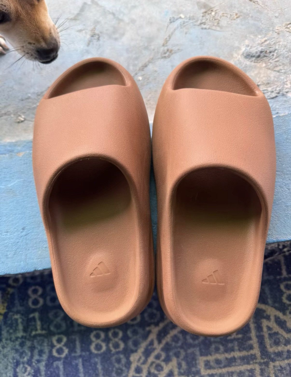 Adidas Adidas Yeezy Slide Flax FZ5896 K37 Size US 9 / IT 39 - 8 Thumbnail