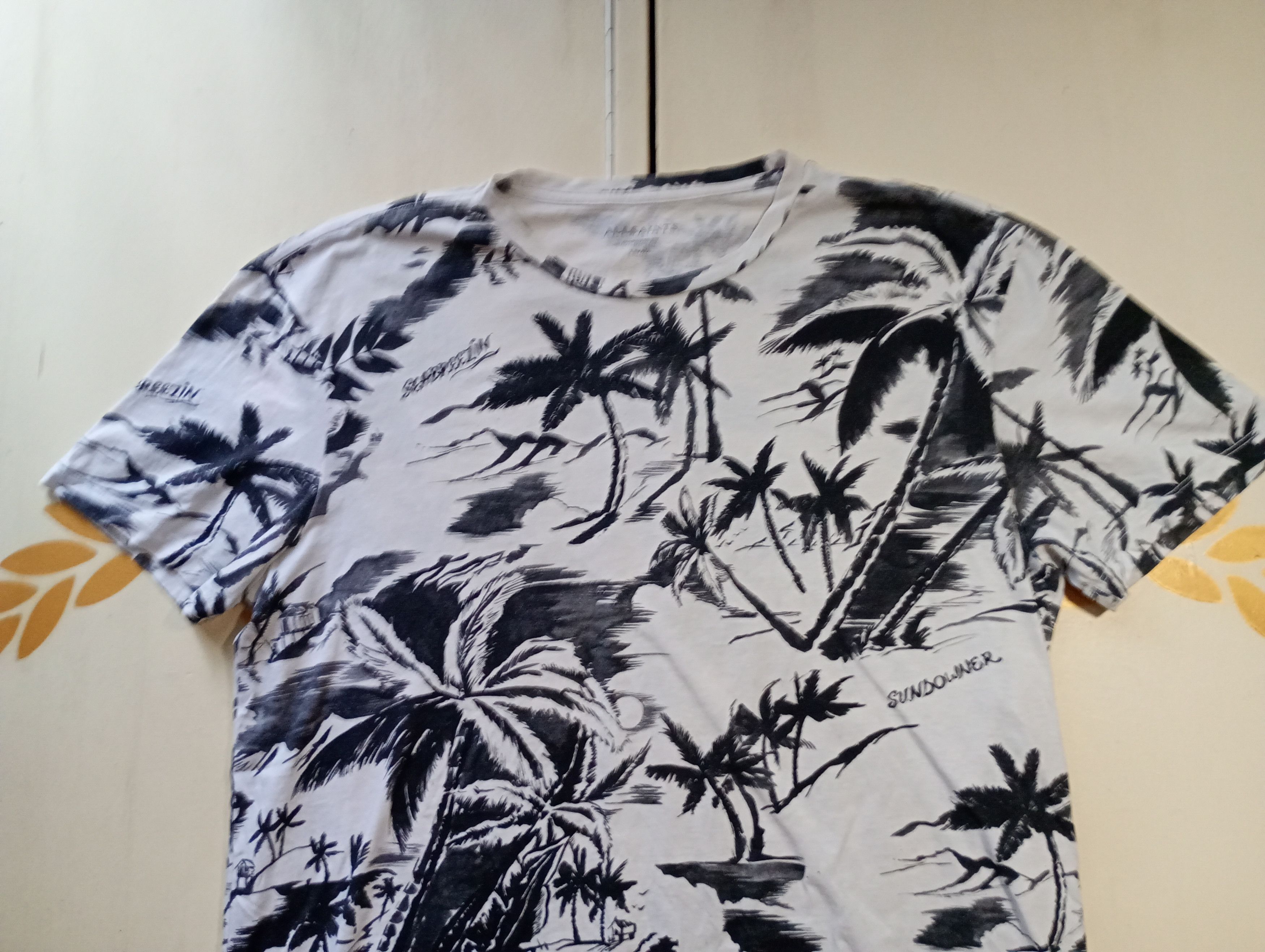 Allsaints Allsaints Oversized T-Shirt Size US XS / EU 42 / 0 - 3 Thumbnail