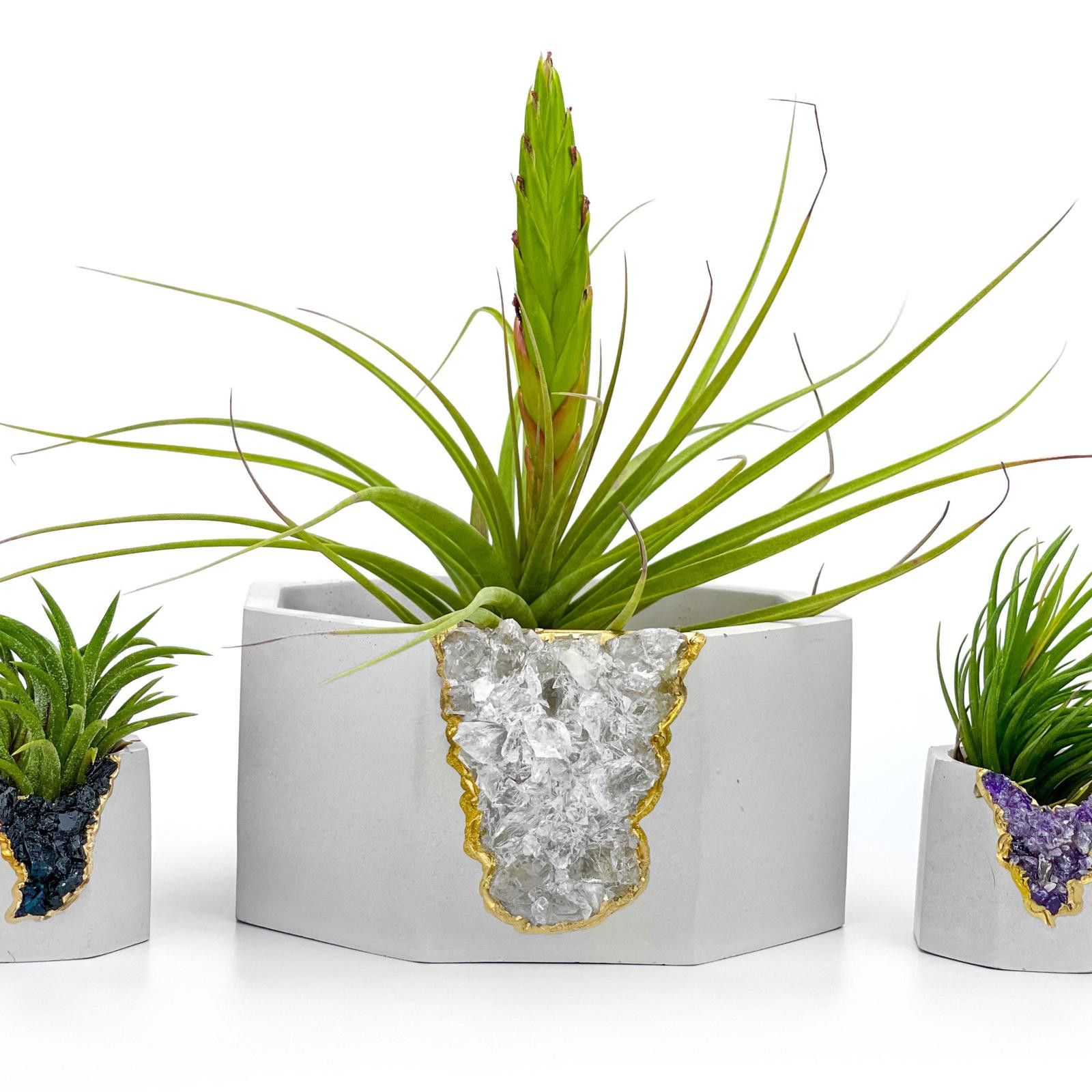 Other Raw Clear Quartz Crystal Planter | Large Geode Succulent Pot Size ONE SIZE - 2 Thumbnail