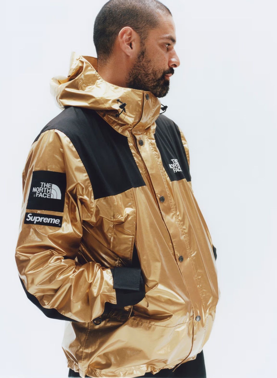 Supreme × The North Face Supreme - The North Face - S/S 18 - Metallic Mountain Parka Size US L / EU 52-54 / 3 - 1 Thumbnail