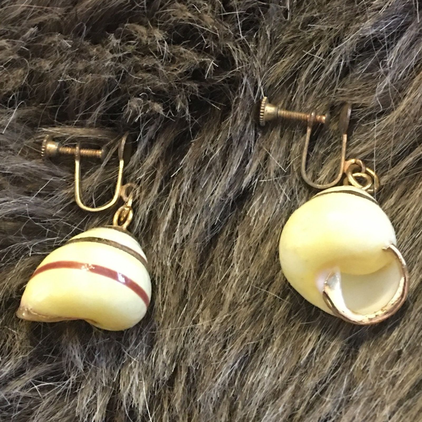 Vintage Vintage mid century moon snail shell earrings Size ONE SIZE - 6 Thumbnail