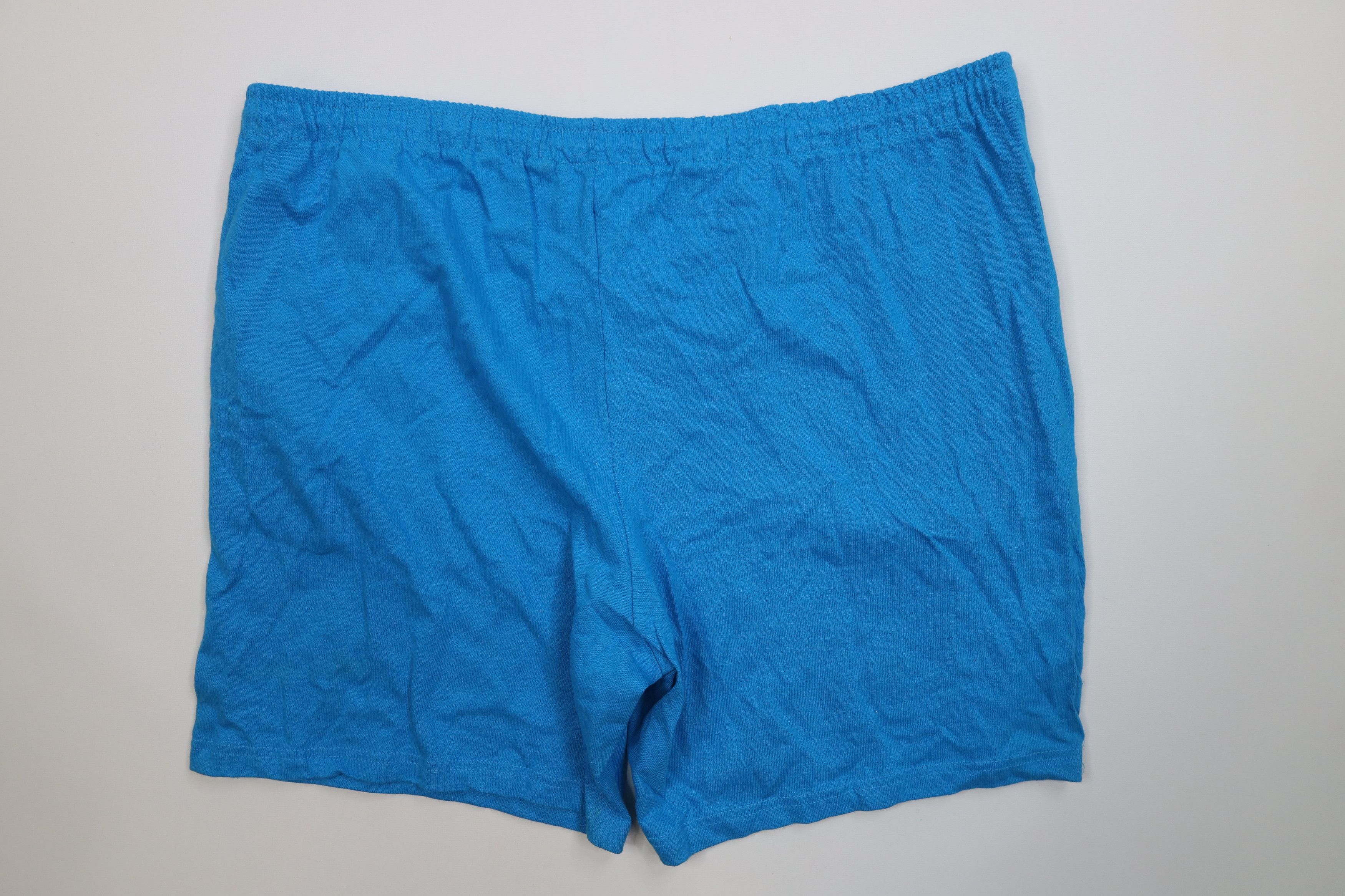 Champion Vintage 90s Champion Above Knee Jersey Knit Shorts Blue USA Size US 36 / EU 52 - 10 Thumbnail
