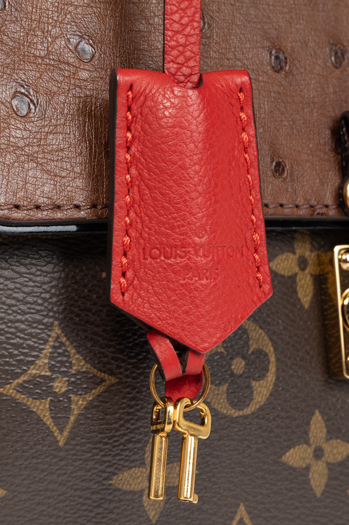 Louis Vuitton Louis Vuitton Majestueux PM Red Monogram Exotique Tote Size ONE SIZE - 12 Thumbnail