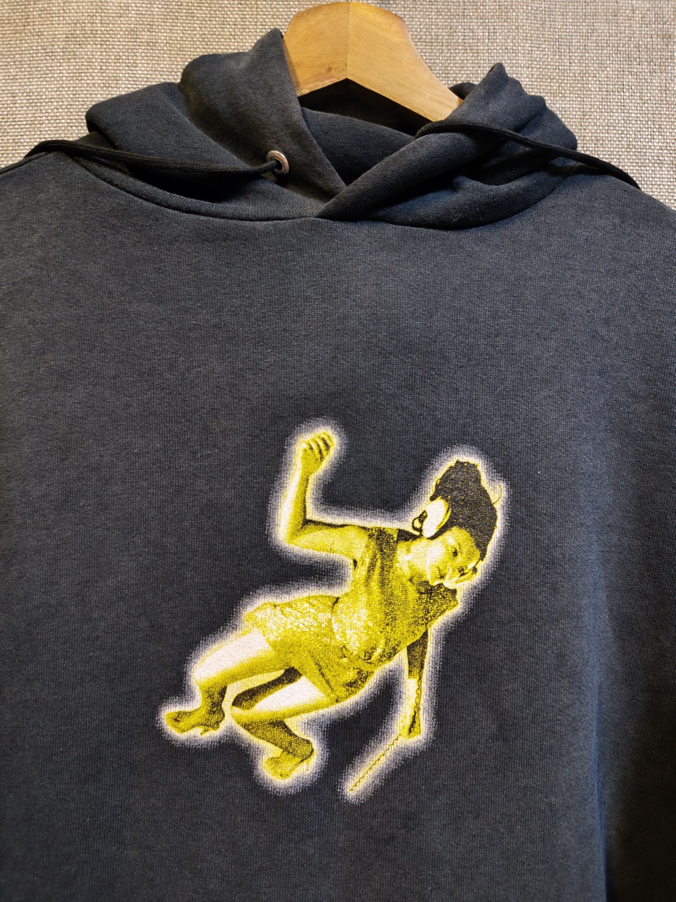 Band Tees Vntage 90s Hoodie Band Zebrahead Punk Rock Size US M / EU 48-50 / 2 - 4 Thumbnail