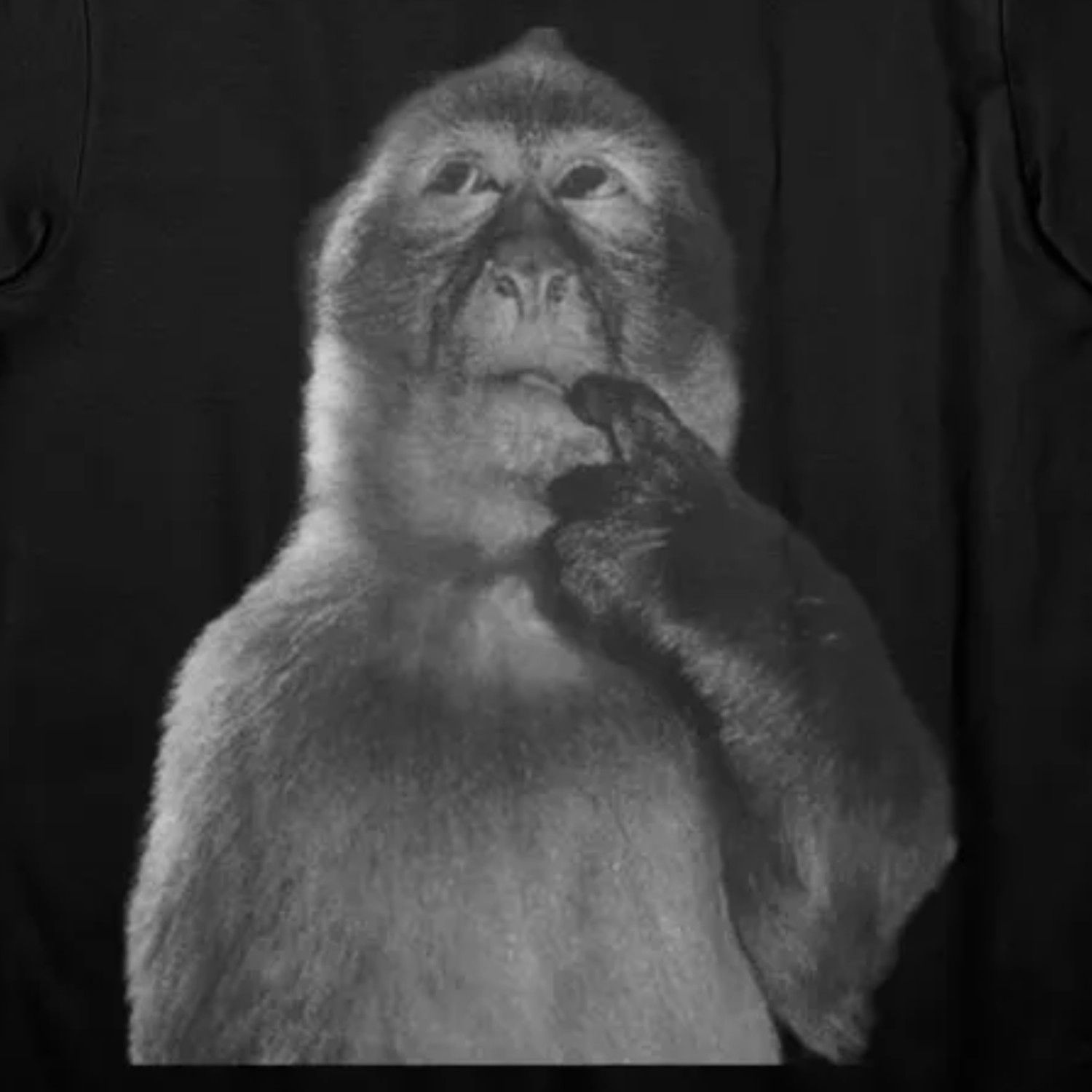 Japanese Brand Funny Monkey Shirt, Stupid Meme Tshirt Size US L / EU 52-54 / 3 - 2 Thumbnail