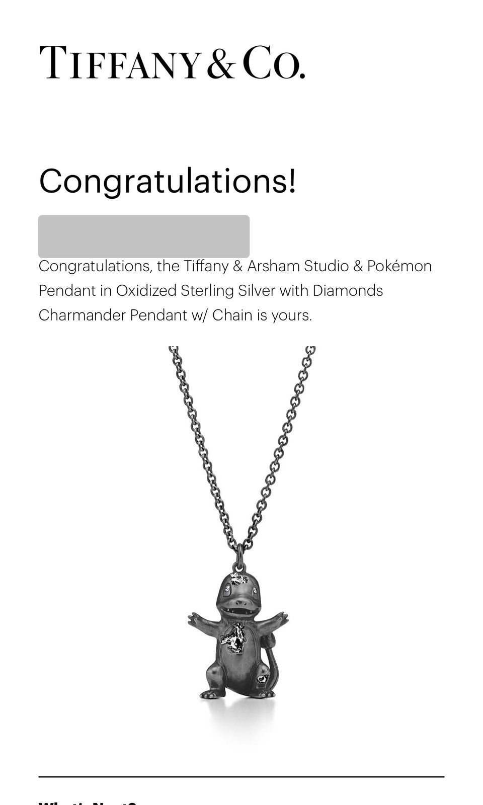 image of Daniel Arsham x Pokemon Tiffany & Arsham Studio & Pokémon Pendant in Silver, Women's