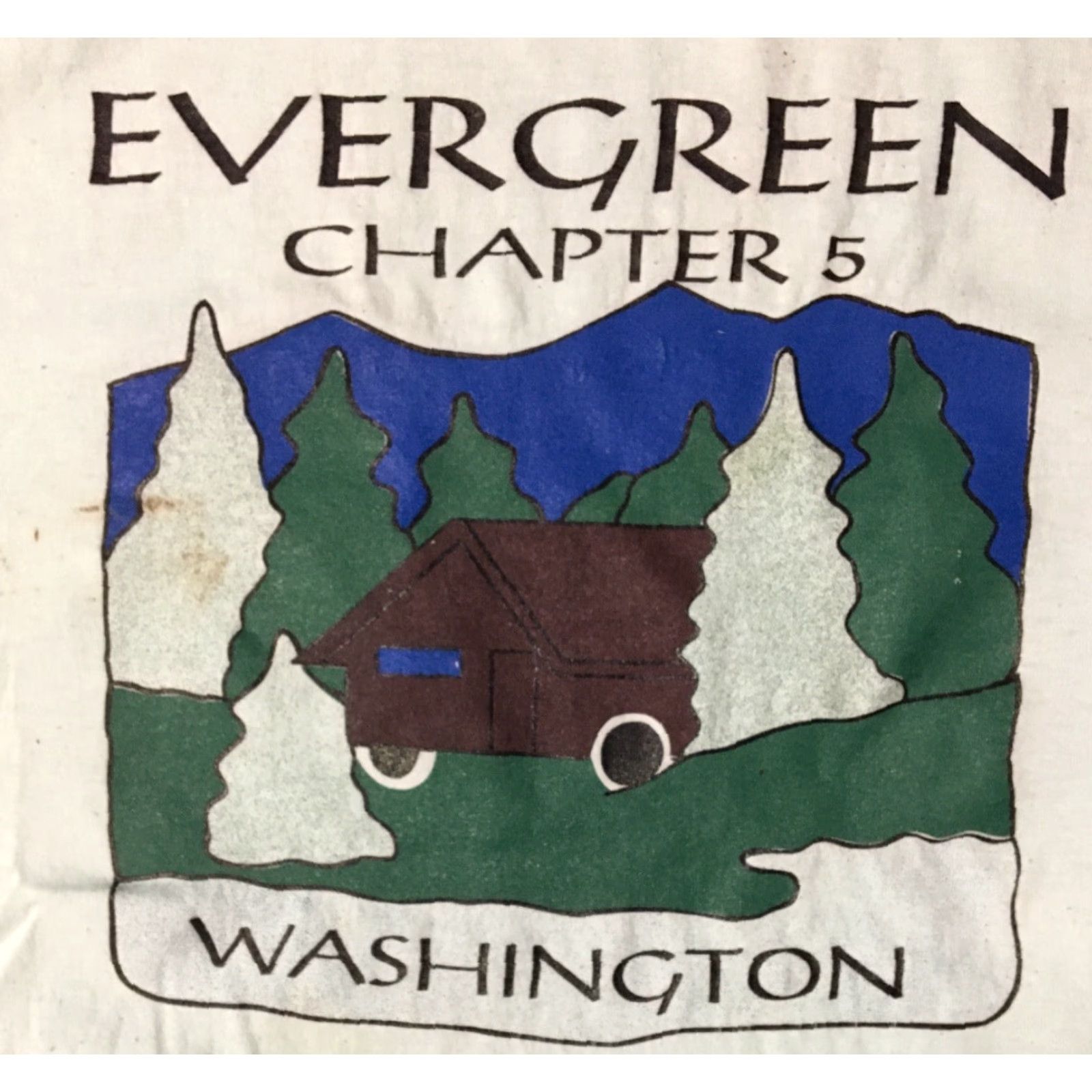 Evergreen VINTAGE Washington Evergreen State Shirt XL USA 90s Grunge Nature Distressed Single Stitch Mens T-Shirt Green Size US XL / EU 56 / 4 - 2 Thumbnail