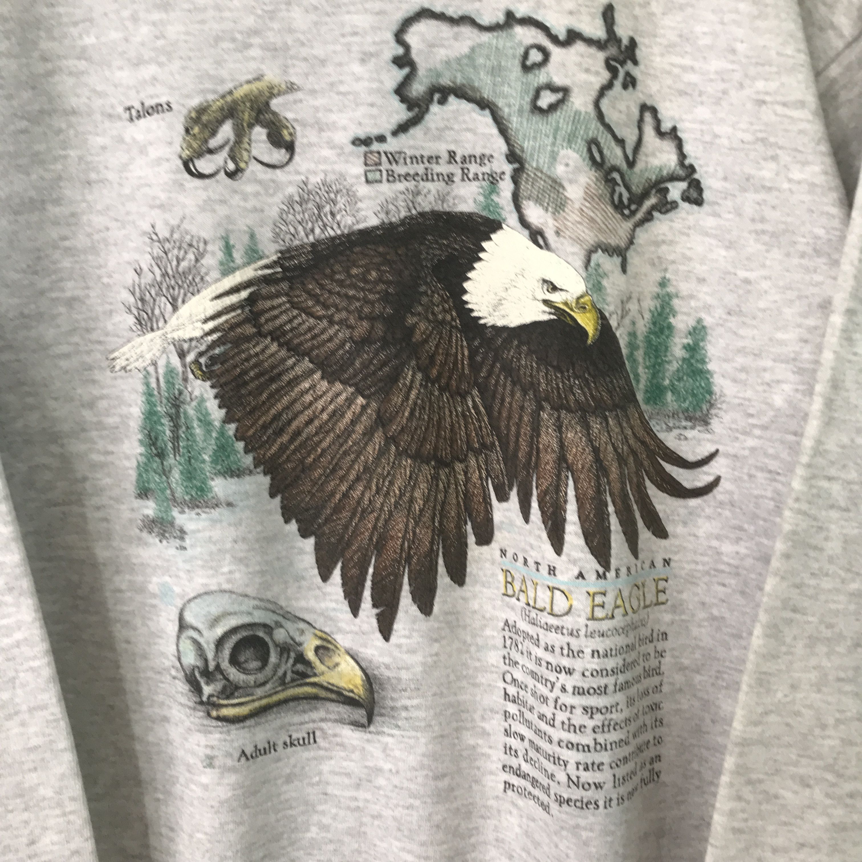 American Eagle Outfitters Vintage American Bald Eagle Grey Sweatshirt - 303 Size US M / EU 48-50 / 2 - 4 Thumbnail