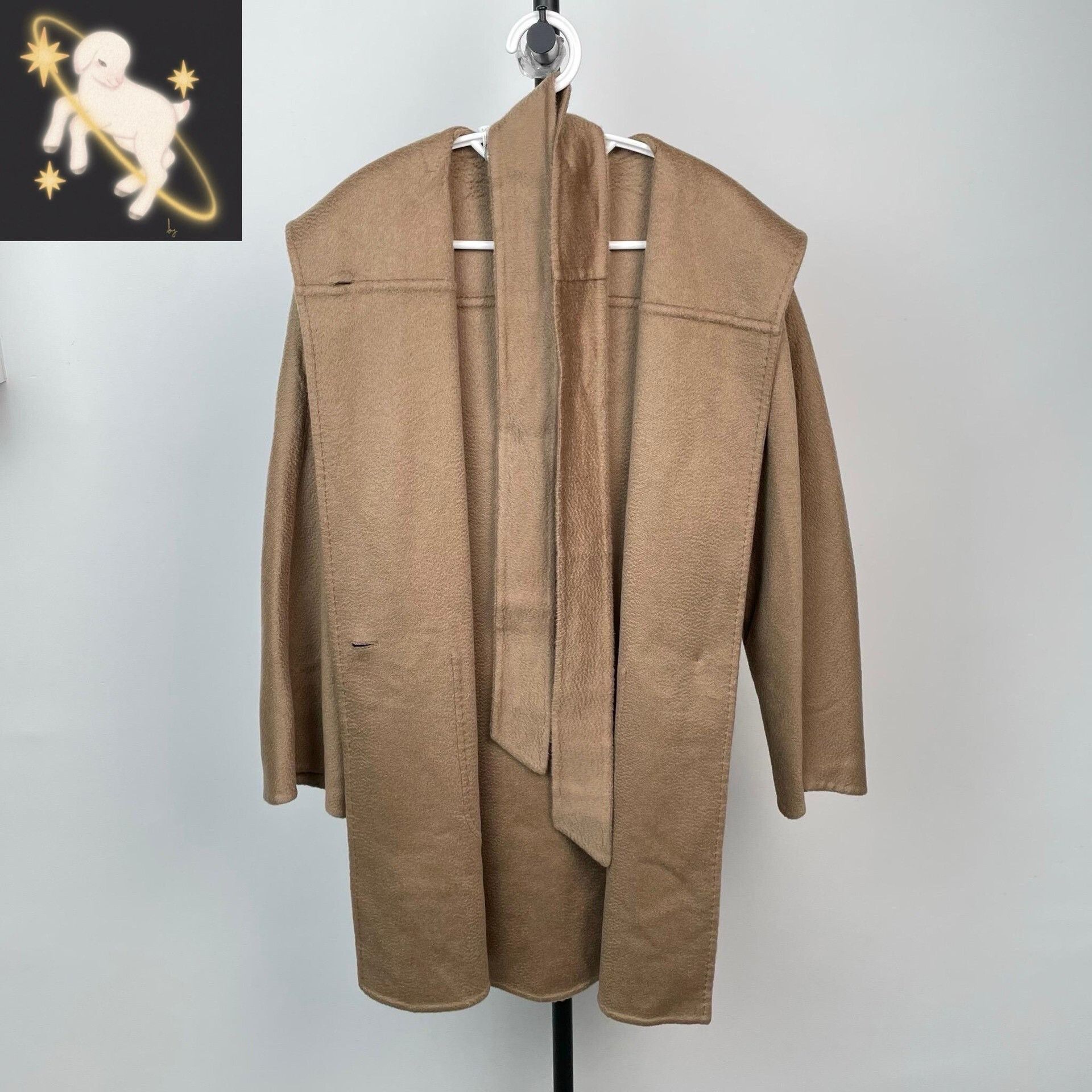 Max Mara Max Mara Brown Coat 38 Women Size S / US 4 / IT 40 - 1 Thumbnail