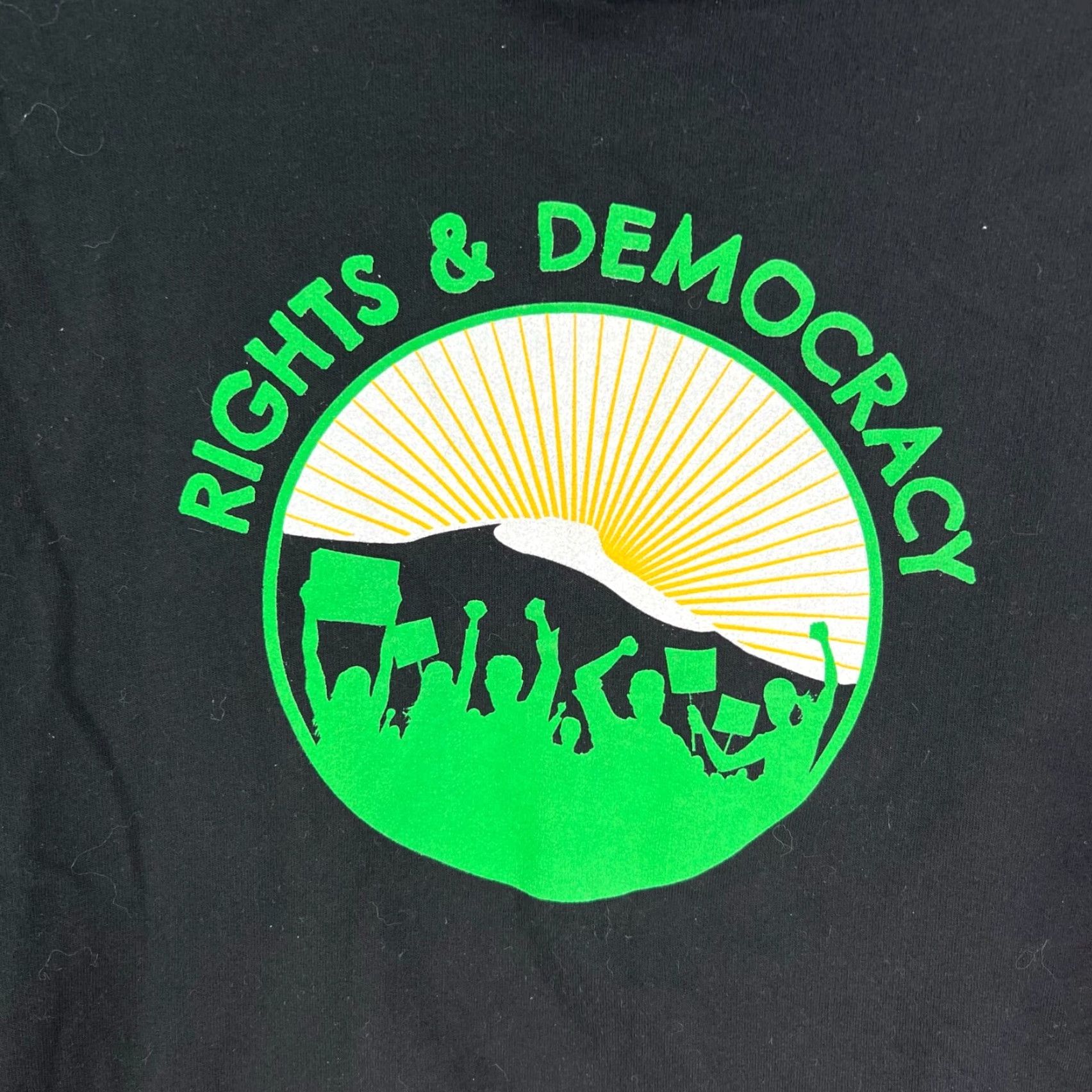 Vintage Democracy Hoodie Adult L Black Graphic Print Pullover Hooded Long Sleeve Cotton Jersey Mens Size US L / EU 52-54 / 3 - 2 Thumbnail