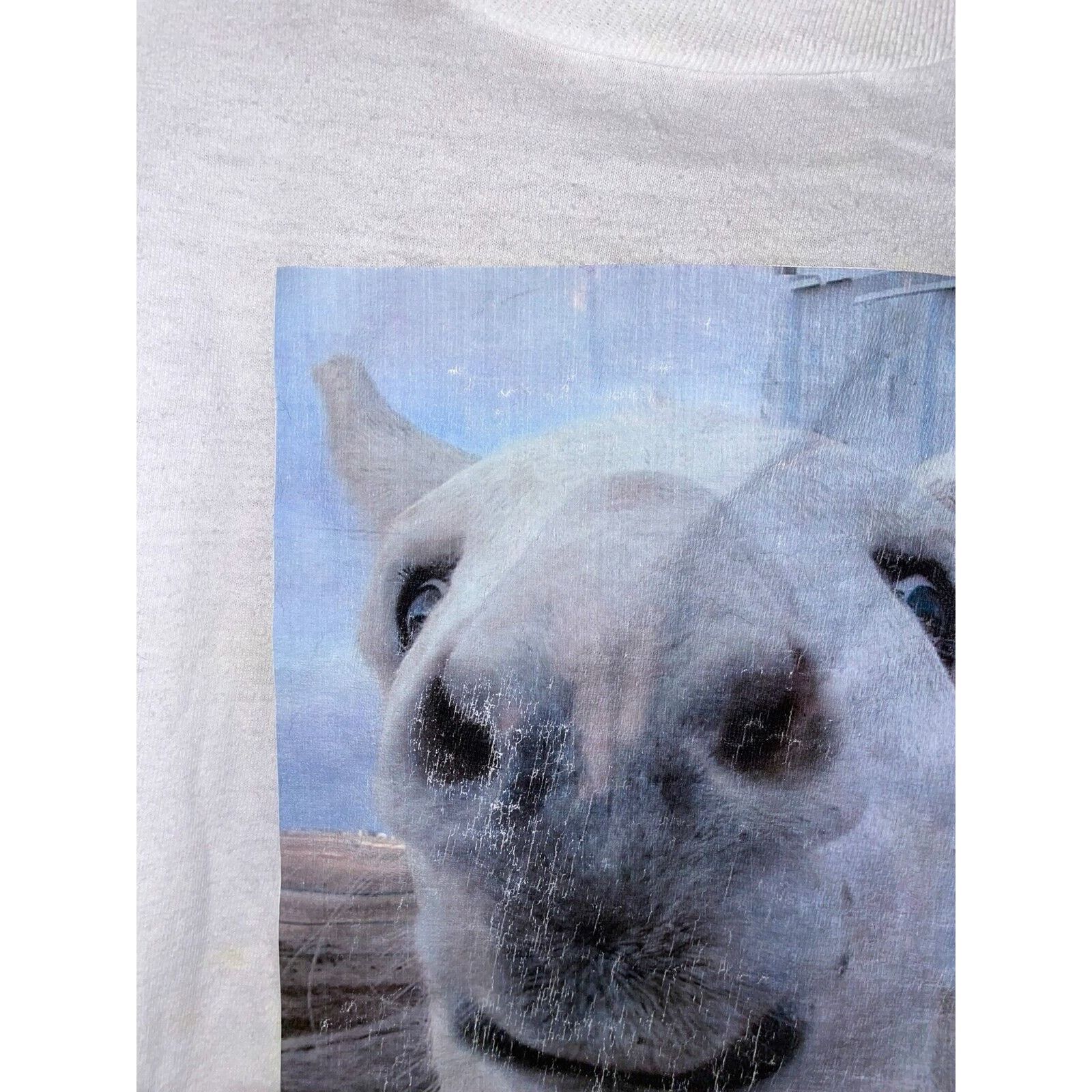 Hanes Vintage Joke Shirt Wanna Kiss My As Butt Donkey STAINED XL Size US XL / EU 56 / 4 - 3 Thumbnail