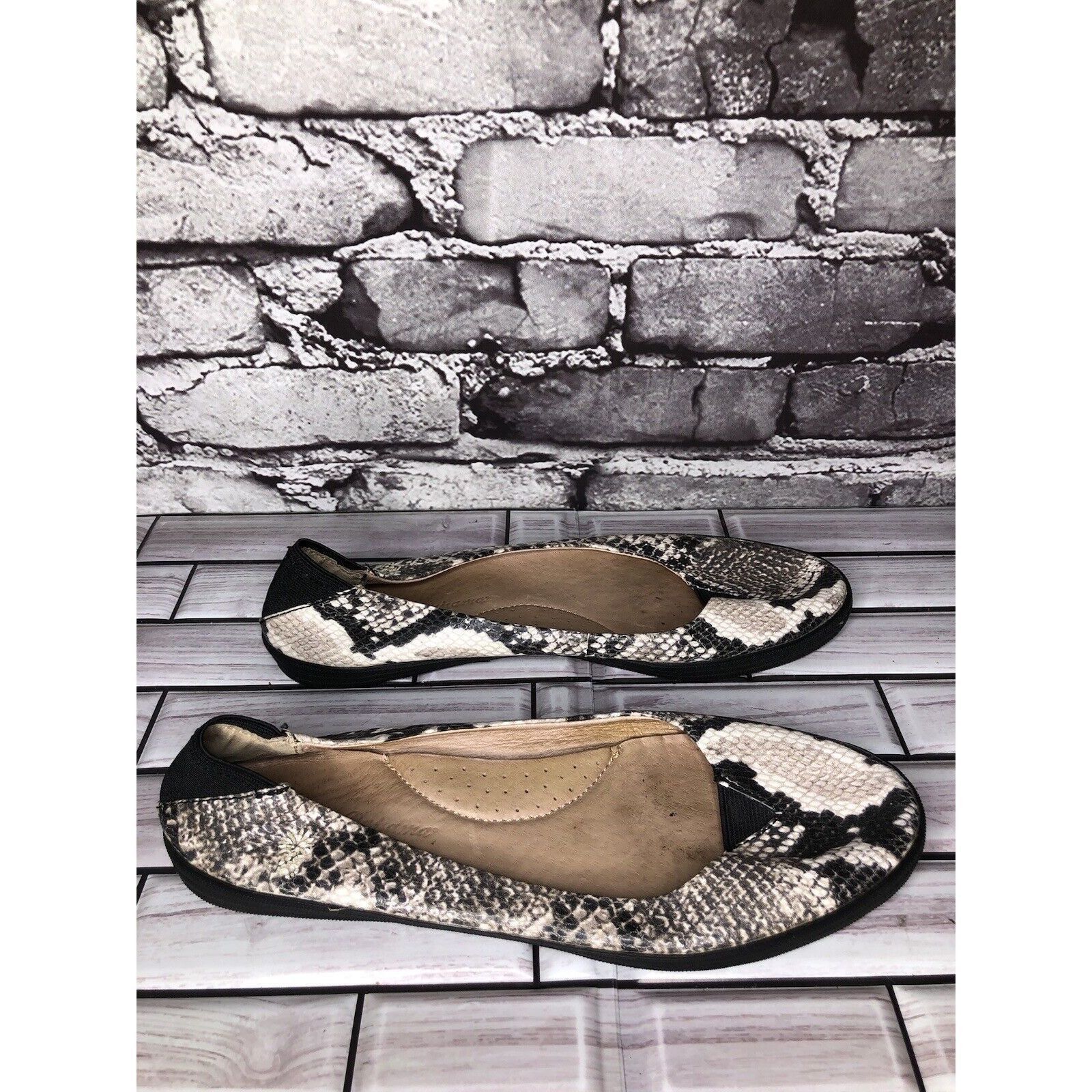 Tommy Bahama Tommy Bahama Odesa Ivory Black Leather Snake Skin Ballet Fla Size US 8 / IT 38 - 8 Thumbnail