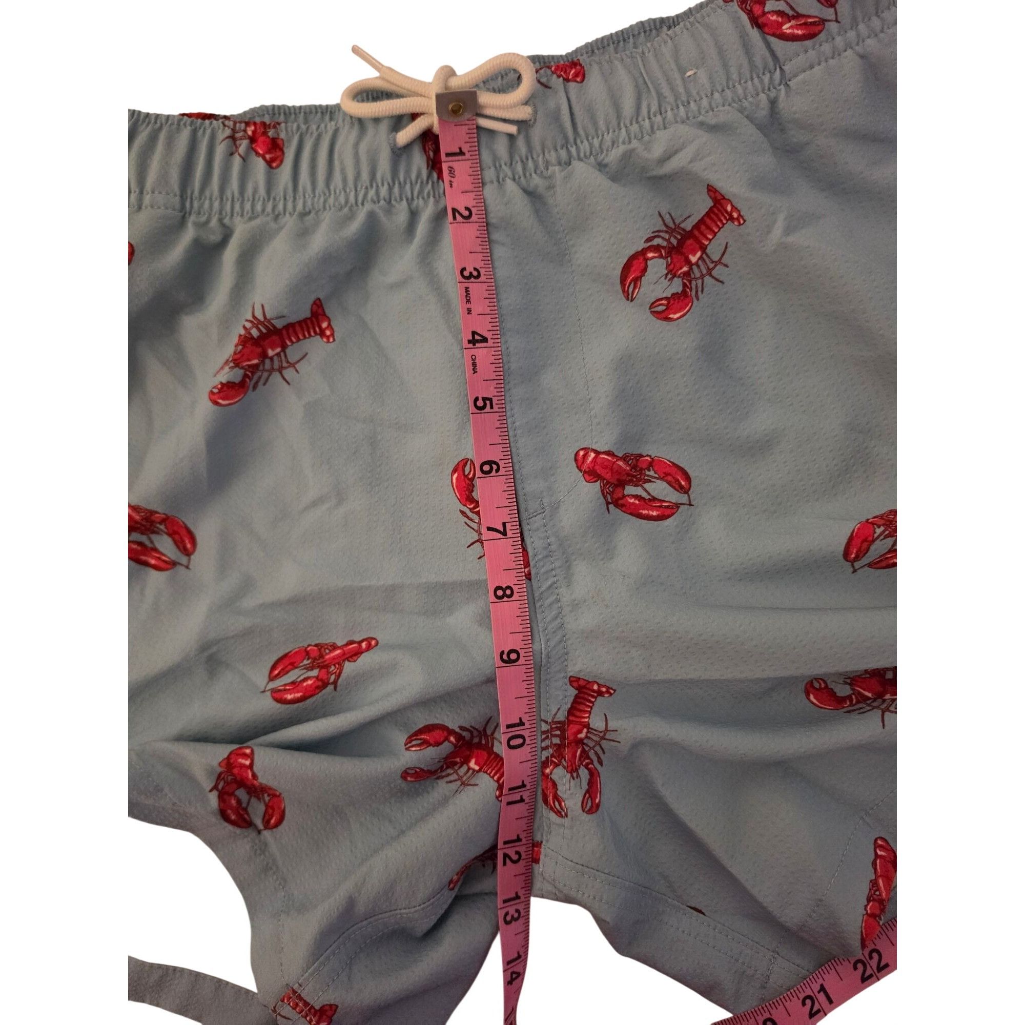 Hollister Hollister Lobster Swim Trunks Mens Small Blue Red Print Line Size US 28 / EU 44 - 8 Thumbnail
