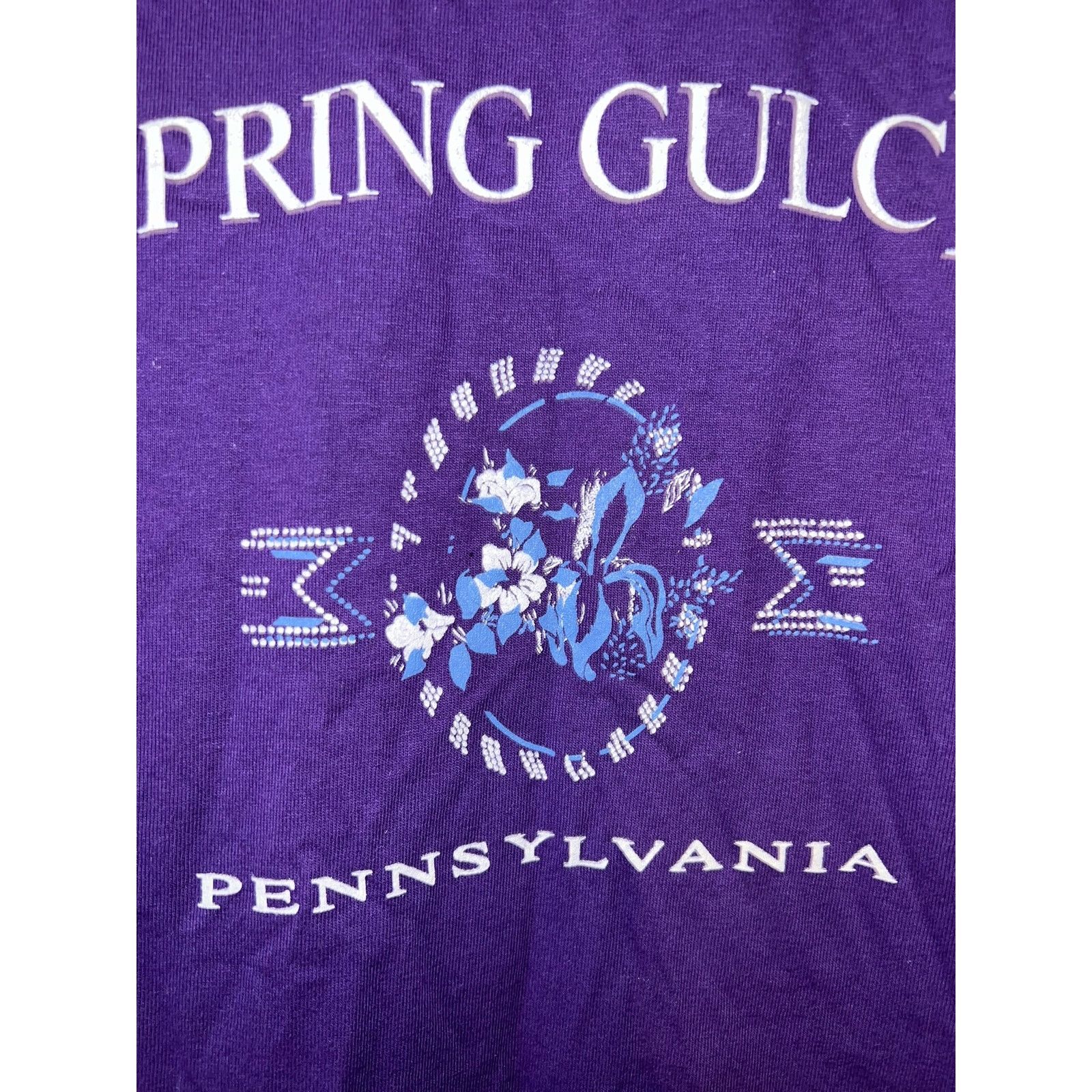Jerzees Vintage Spring Gulch Shirt PA Purple Graphic Tee 90s VTG L Size US L / EU 52-54 / 3 - 3 Thumbnail