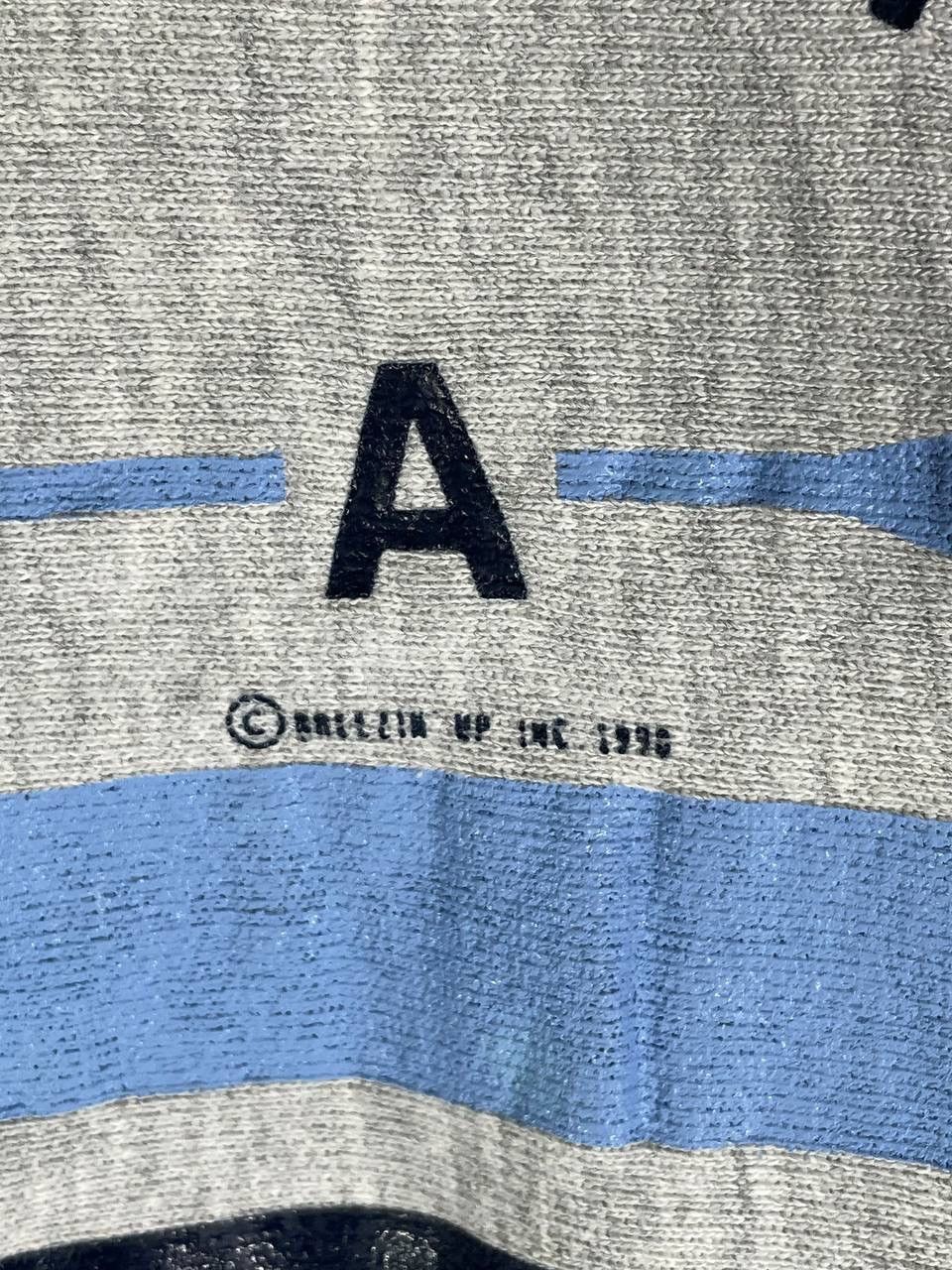 Champion Vintage 90s 1990 champion reverse weave avalon crew L Size US L / EU 52-54 / 3 - 6 Thumbnail