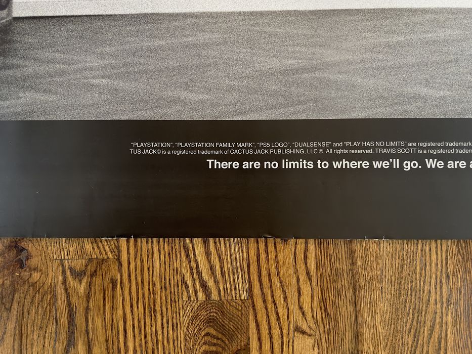 travis scott cactus jack playstation