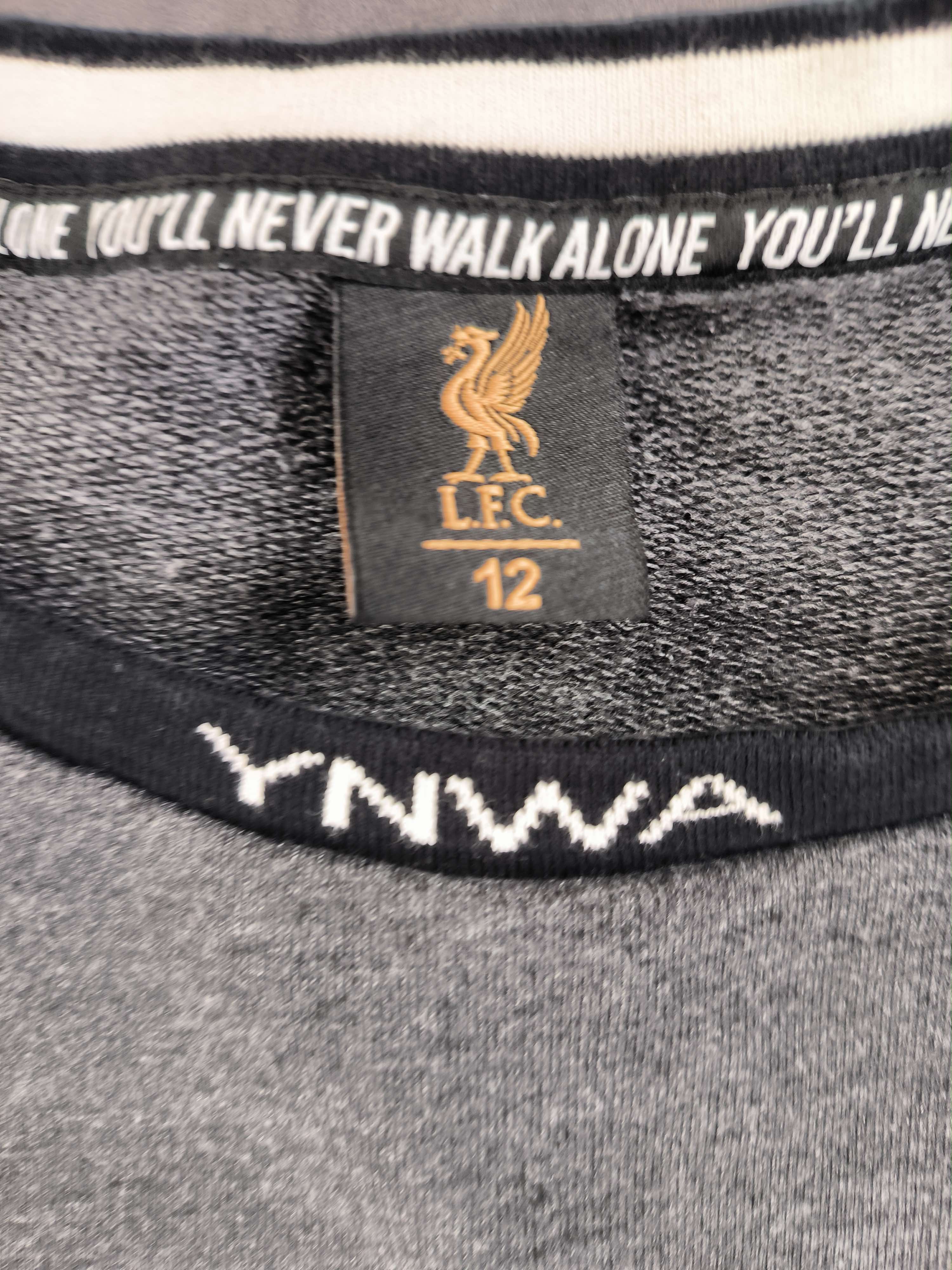 Other Liverpool YNWA football sweatshirt size 12 Size US M / EU 48-50 / 2 - 3 Thumbnail