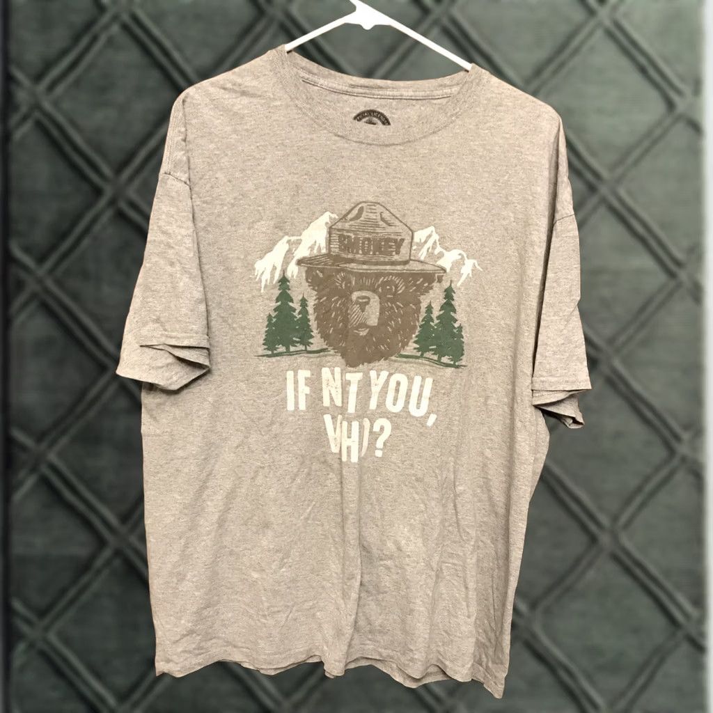 Vintage Smokey The Bear XL Official "IF NOT YOU, WHO?" Gray T-Shirt Forest Fires 1005 Mens XL Gray Fire Crew Neck Short Sleeve Shirt Size US XL / EU 56 / 4 - 1 Thumbnail