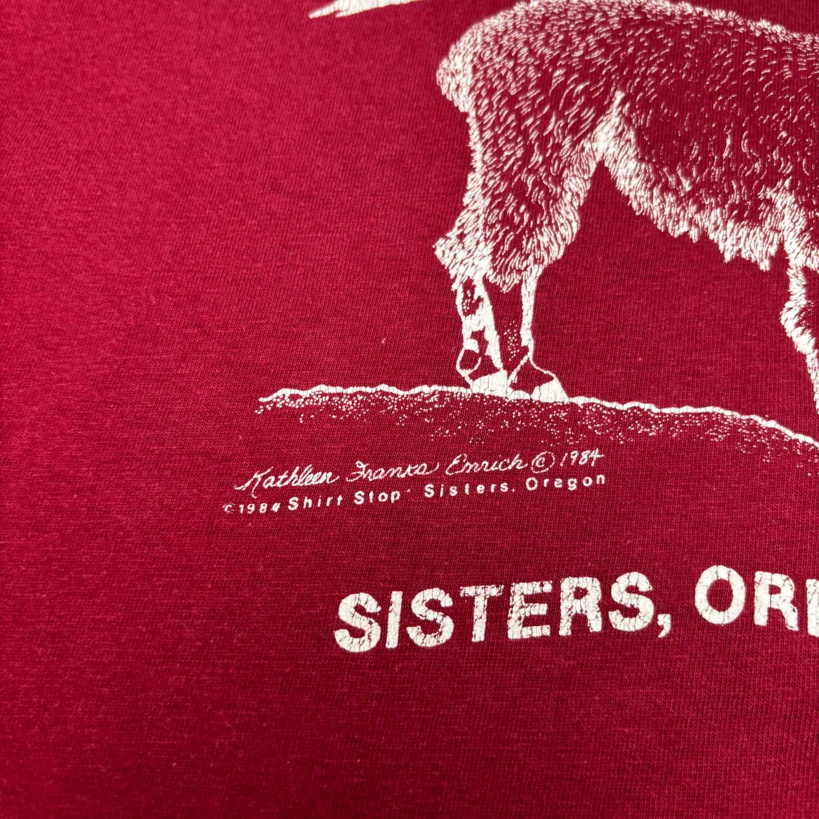 Hanes × Vintage Vintage 80s Sisters Oregon Llama Single Stitch Shirt Large Size US L / EU 52-54 / 3 - 3 Thumbnail