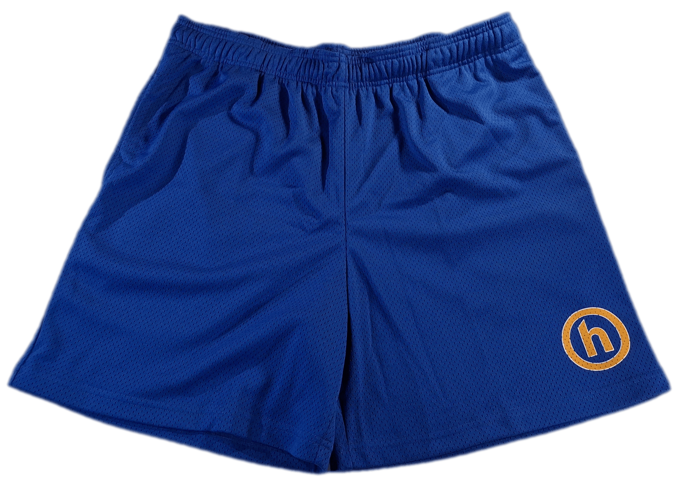 HIDDEN Hidden NY Mesh Shorts - Royal Blue - Size M Size US 33 - 1 Thumbnail