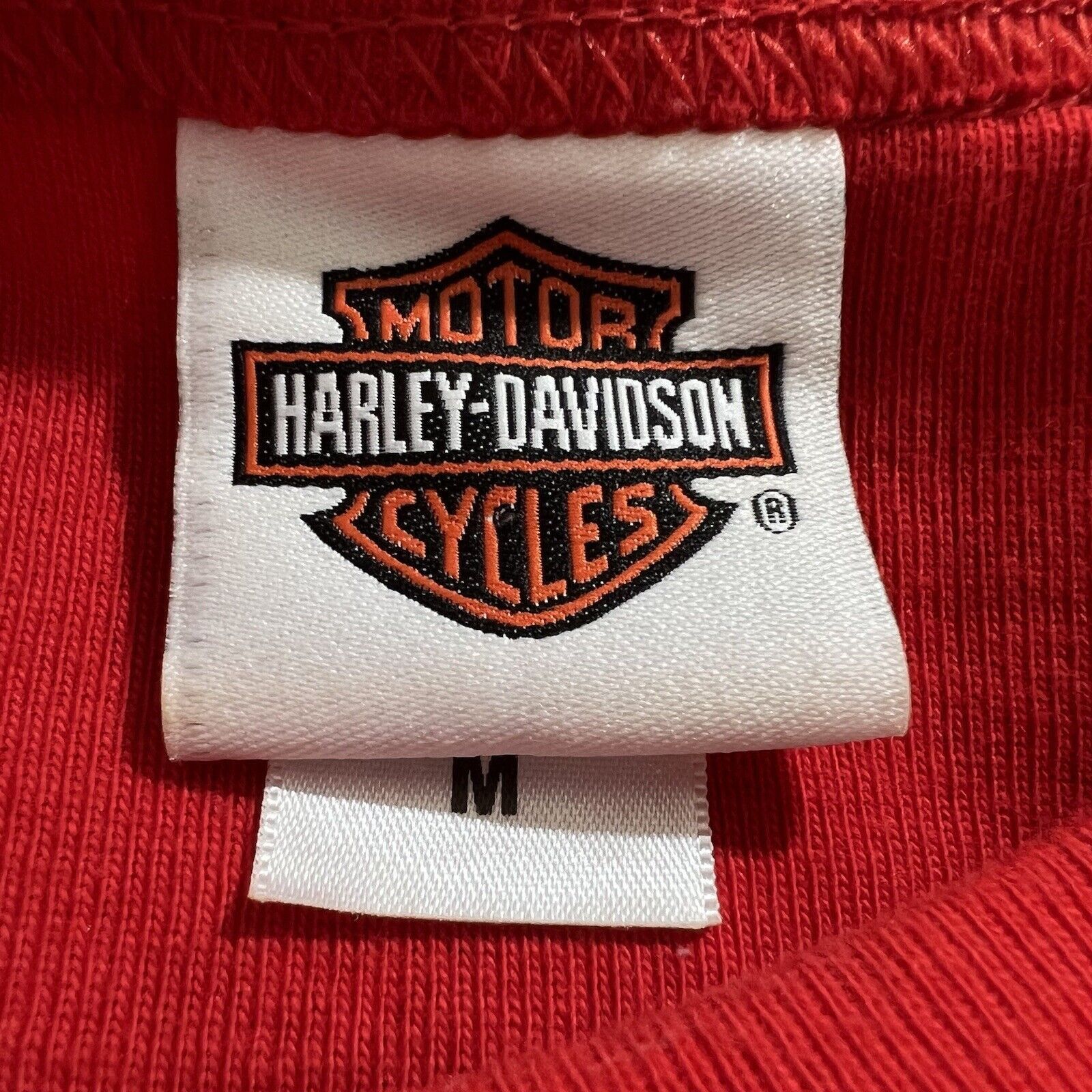 Harley Davidson Harley-Davidson Smoky Mountain Sparkle Dragon T Shirt Size M / US 6-8 / IT 42-44 - 3 Thumbnail