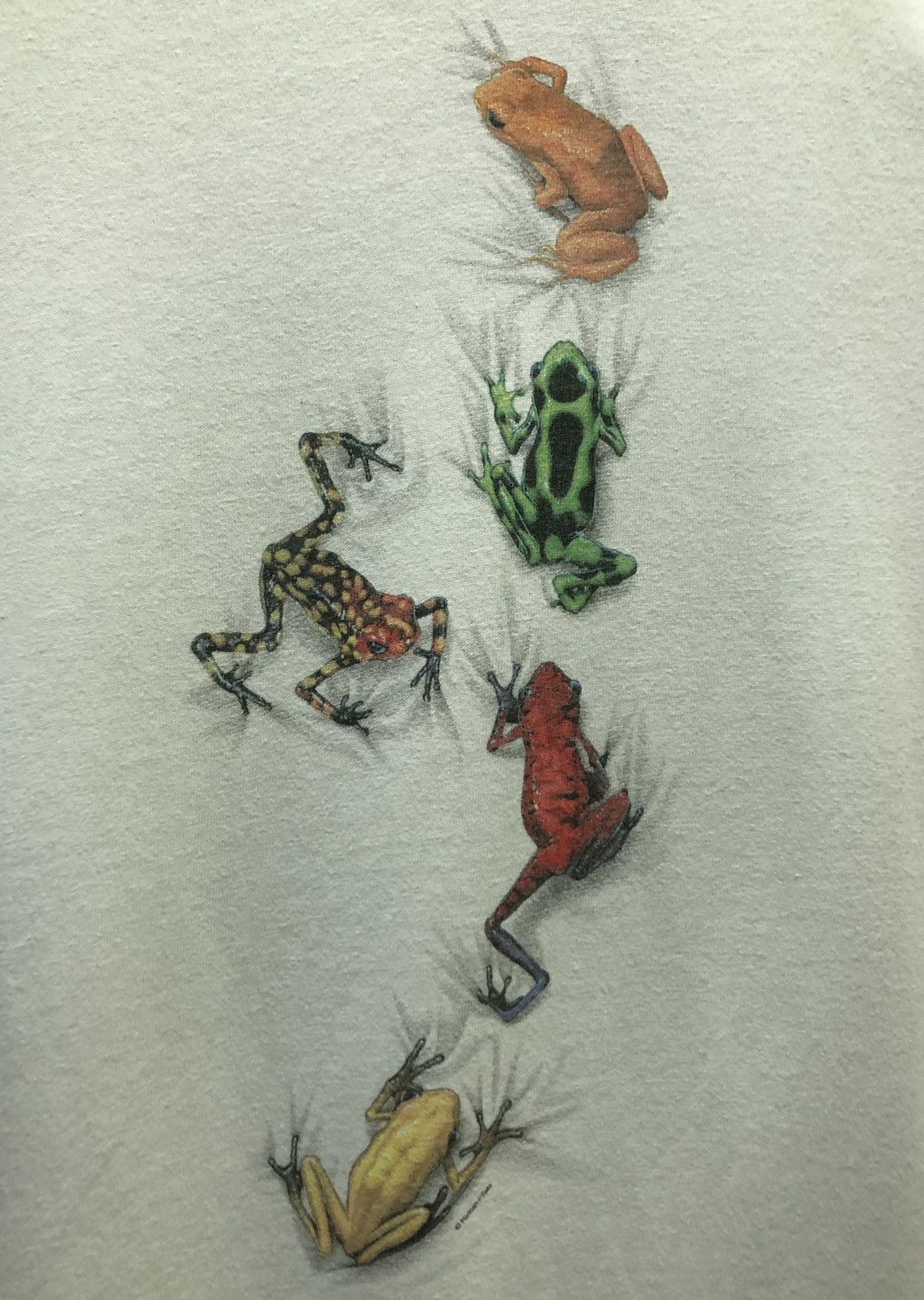 Vintage Vintage Anvil Poison Frogs T-Shirt Size US L / EU 52-54 / 3 - 3 Thumbnail