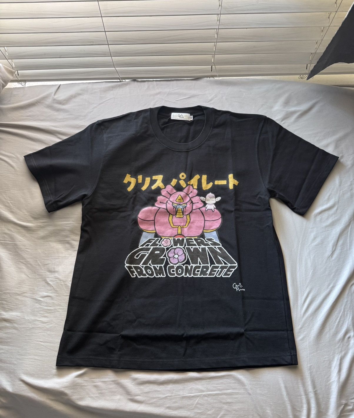 Other Chris Pyrate Complexcon Exclusive Size US M / EU 48-50 / 2 - 1 Thumbnail