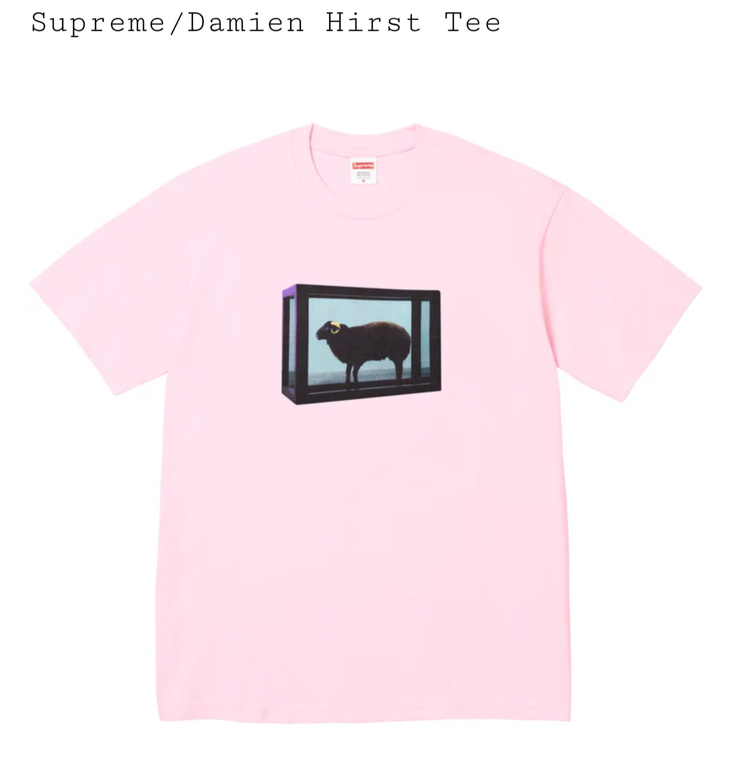 Damien Hirst × Supreme Supreme x Damien Hirst Size US XL / EU 56 / 4 - 1 Thumbnail