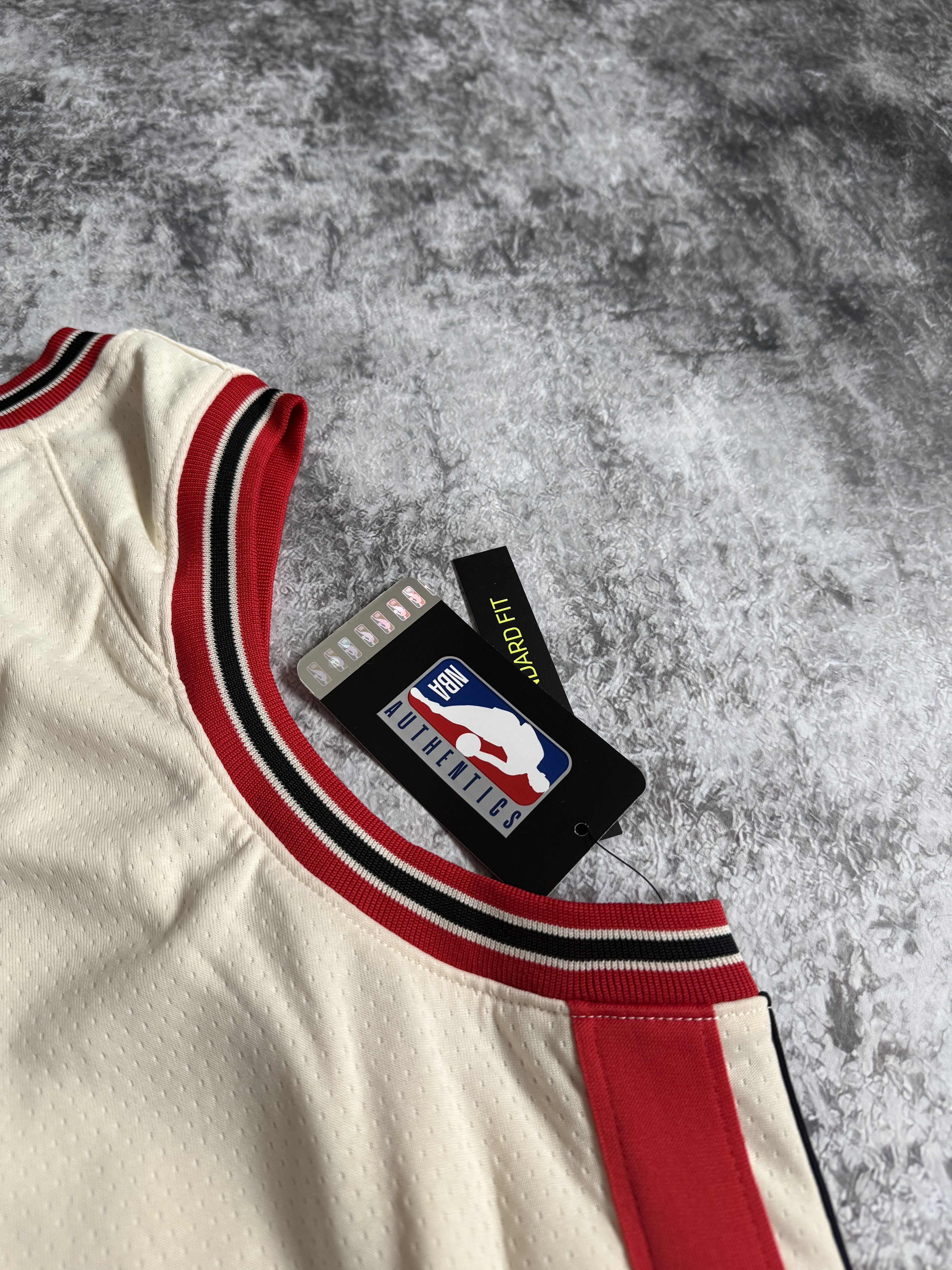 Nike PORTLAND TRAIL BLAZERS RIP CITY NIKE JERSEY BLANK NEW NBA M Size US M / EU 48-50 / 2 - 10 Thumbnail