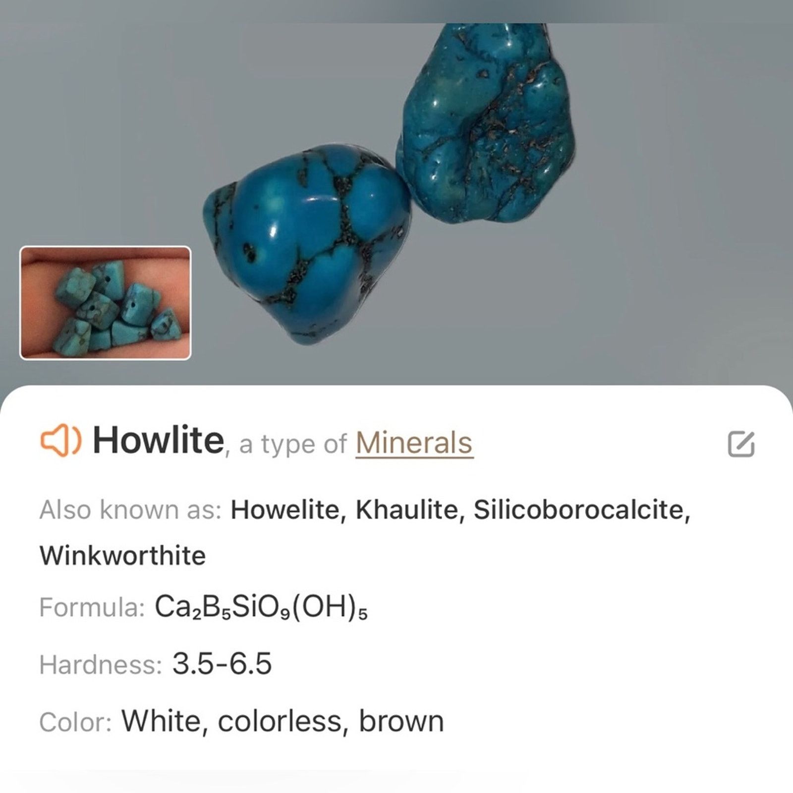 Handmade Handcrafted howlite genuine pearl dyed agate beaded necklace Size ONE SIZE - 12 Thumbnail